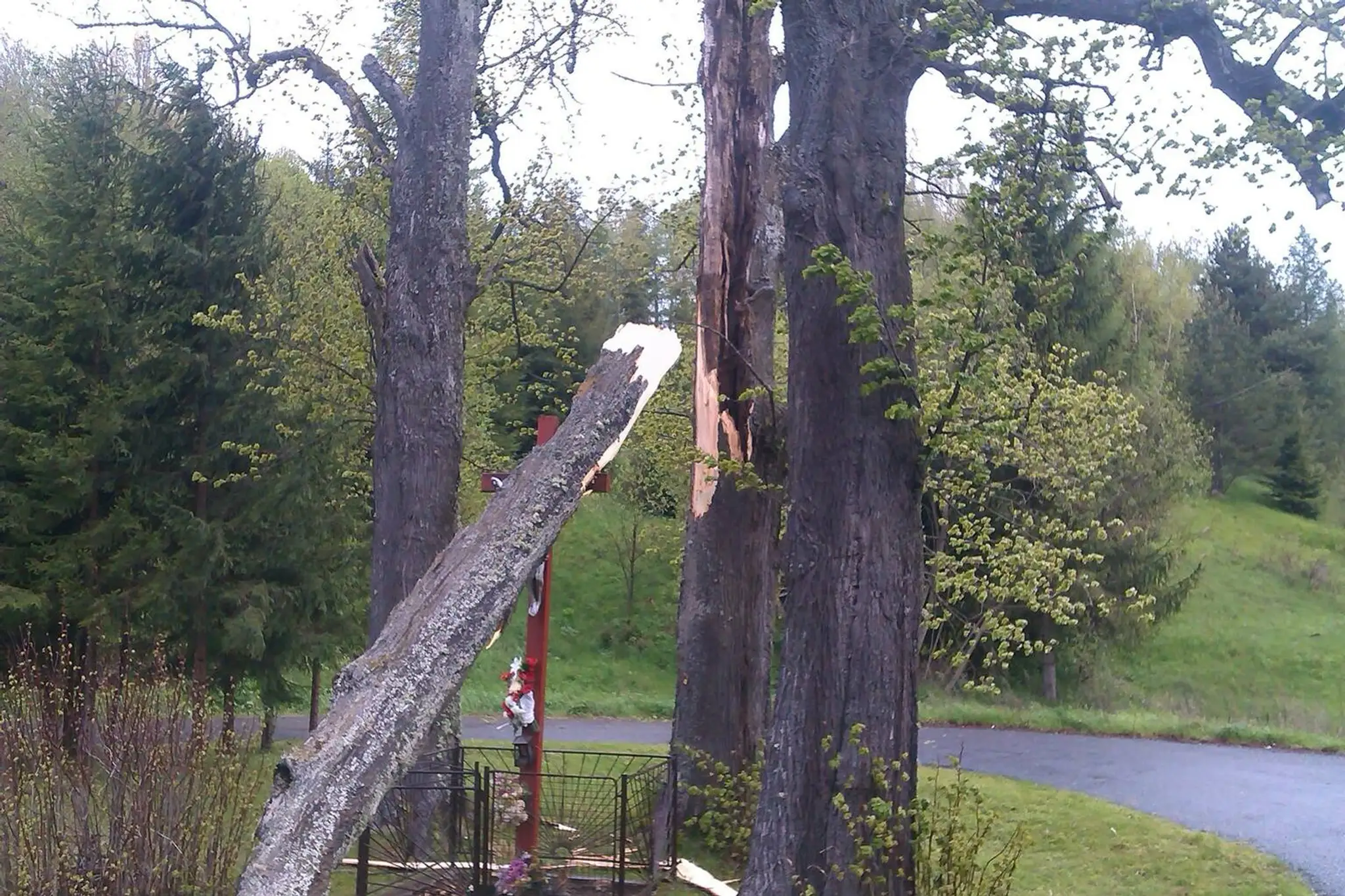 Spadnutý strom na kríž