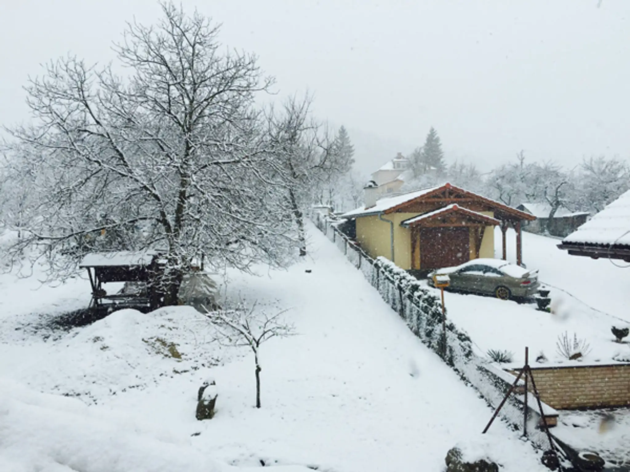 zuzelka_prievidza.jpg