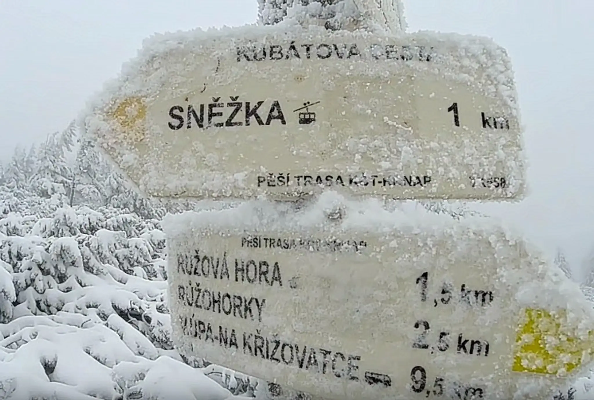 Sněžka