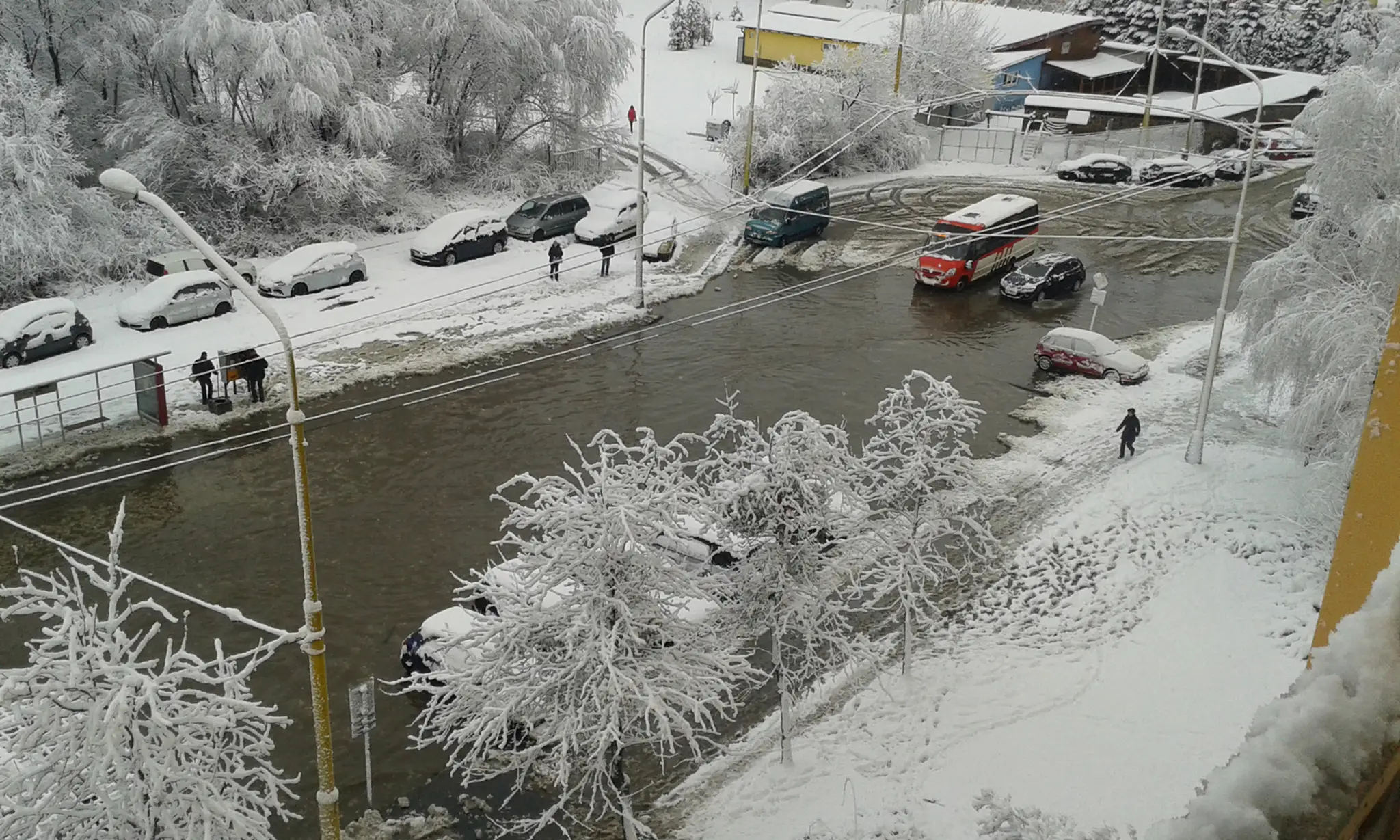 preovskakalamita1.jpg