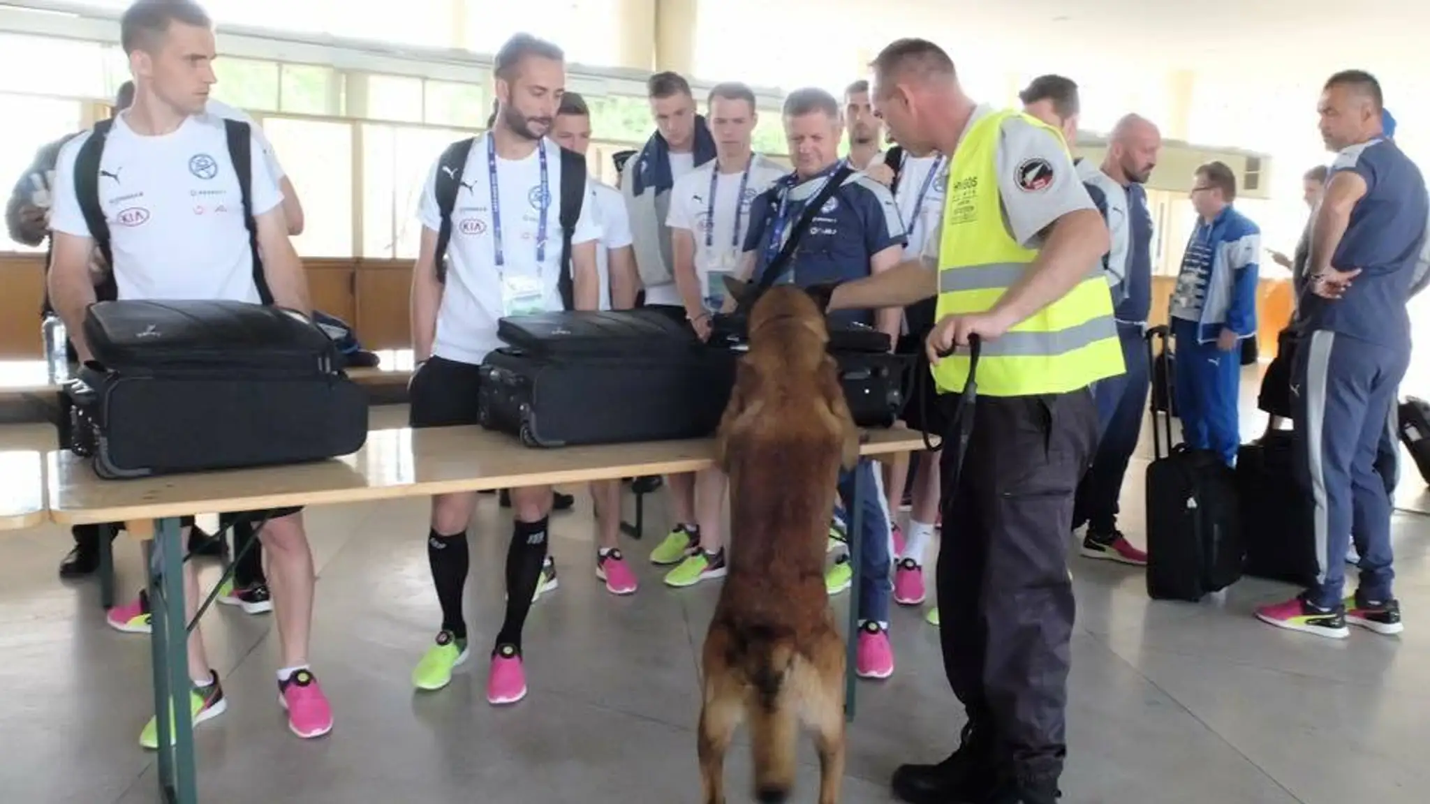 Slovenskí reprezentanti sa prizerajú policajnej kontrole so psom počas príletu do Bordeaux.