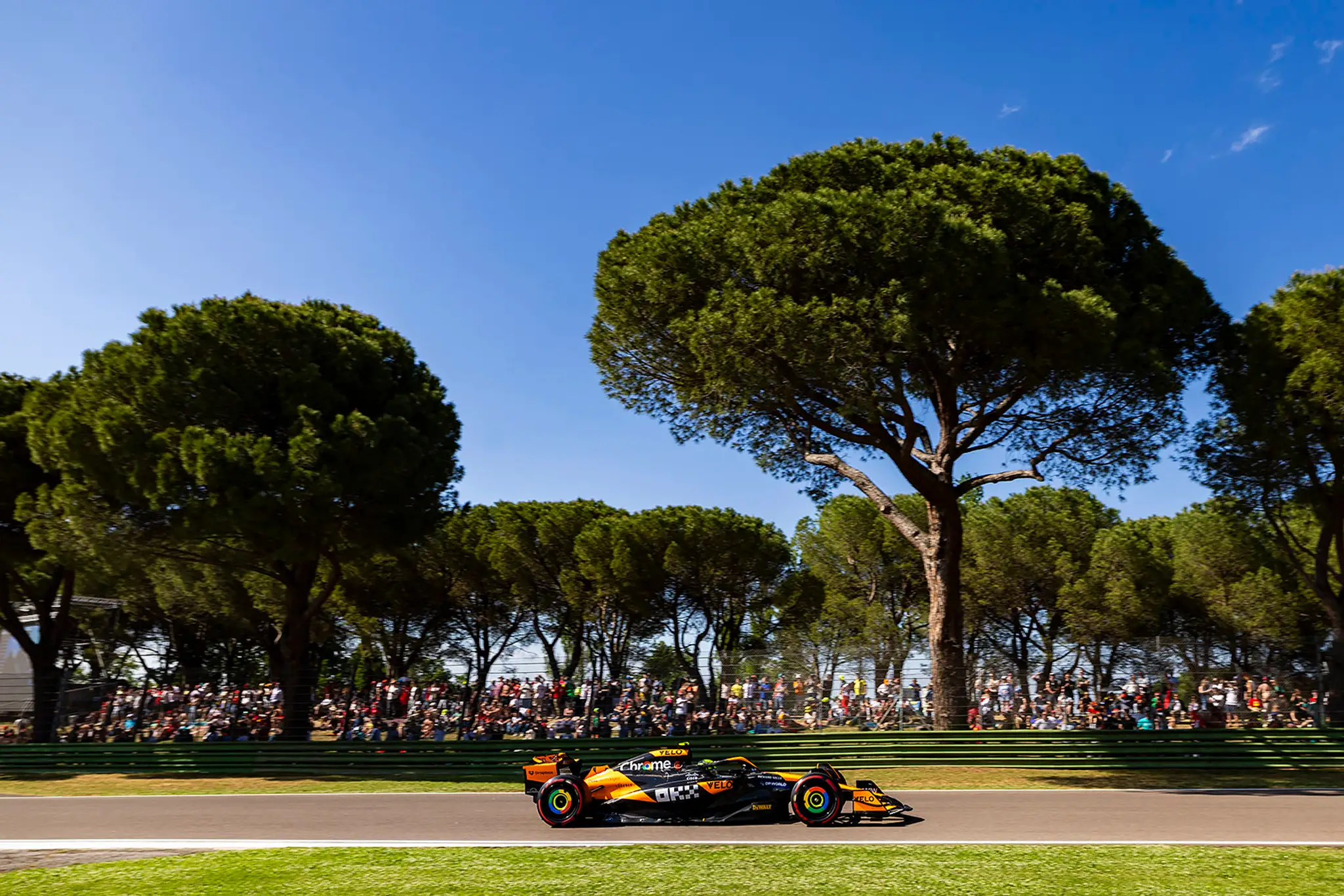 Lando Norris na trati v Imole.