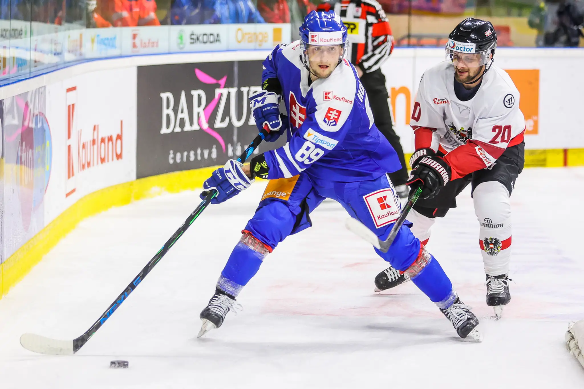 Adrián Holešinský a Nico Brunner.