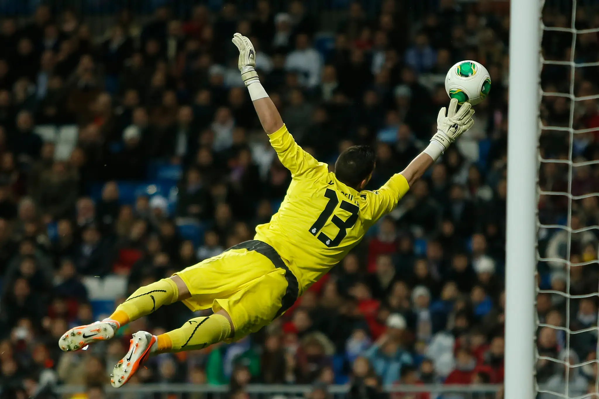 Brankár Francisco "Kiko" Casilla