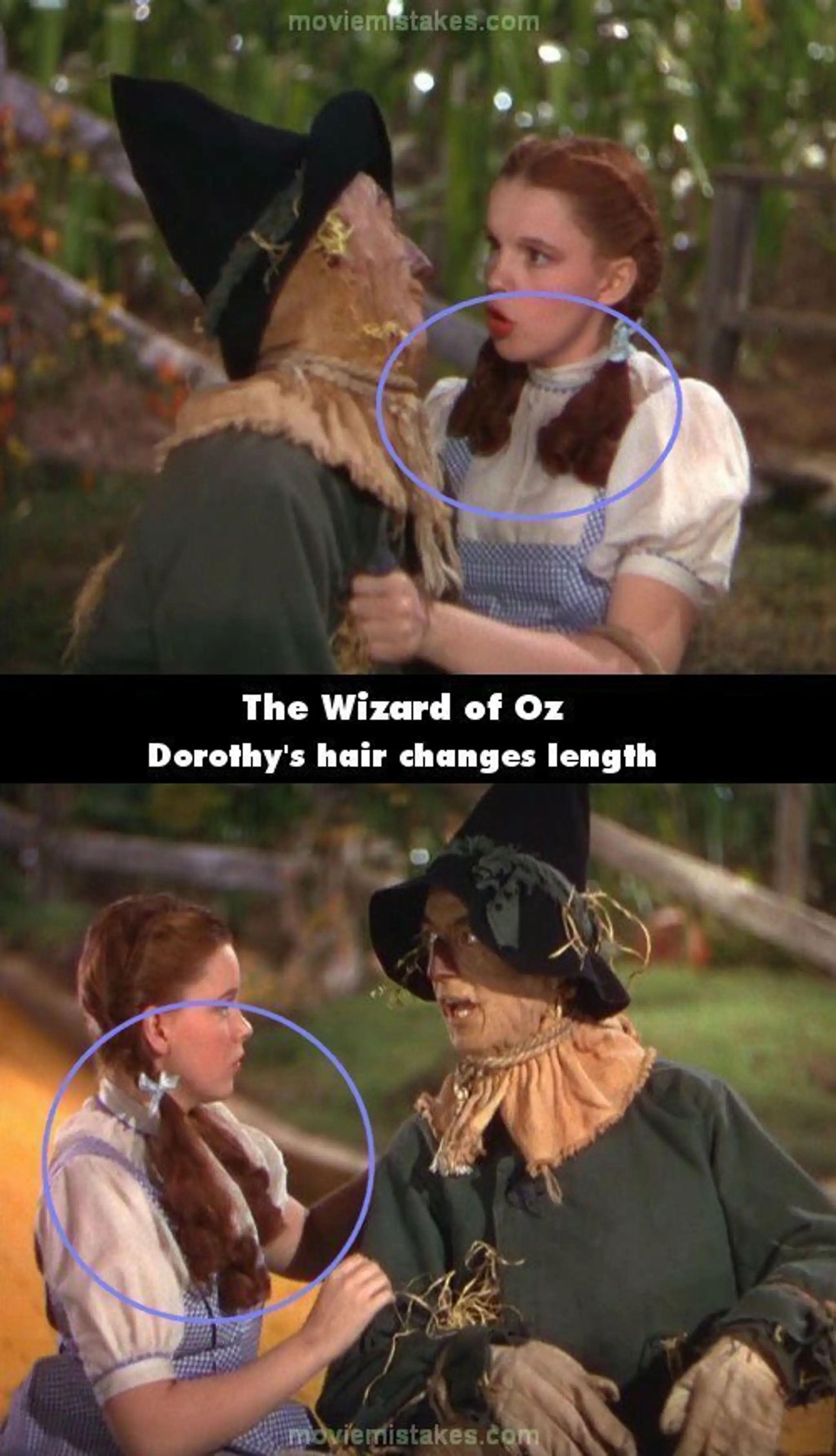 oz.jpg
