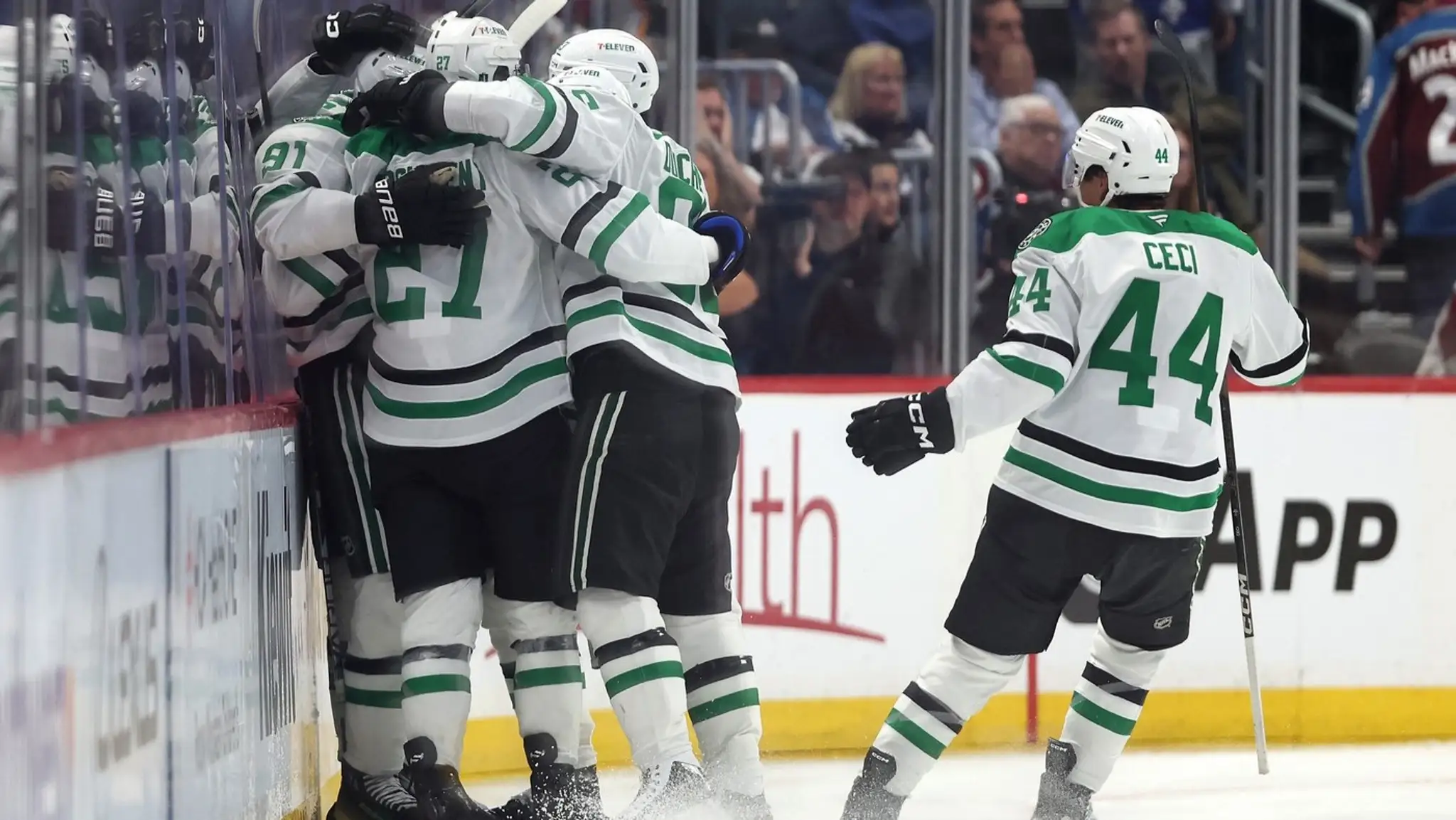 Hokejisti Dallas Stars