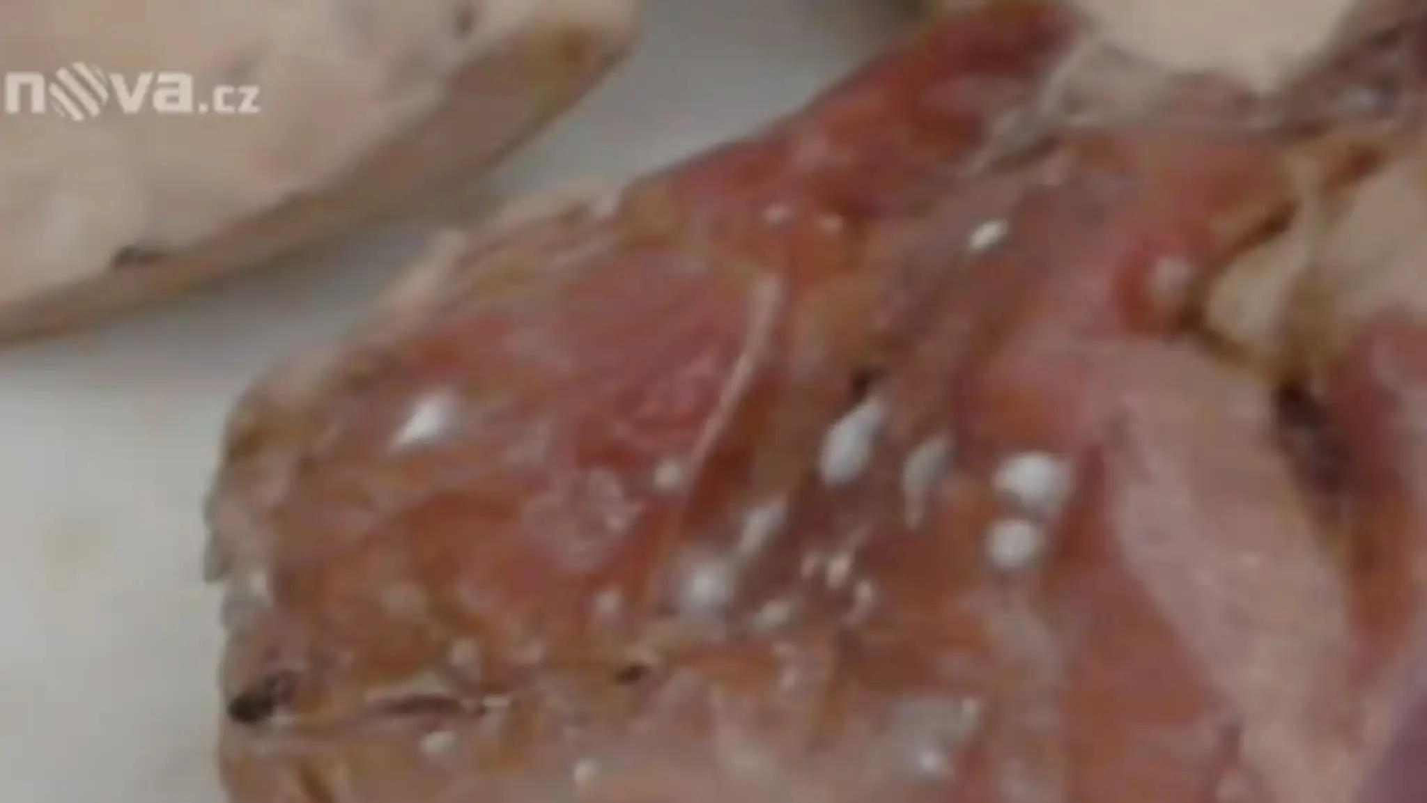 Kuchárky odmietli variť z plesnivého mäsa
