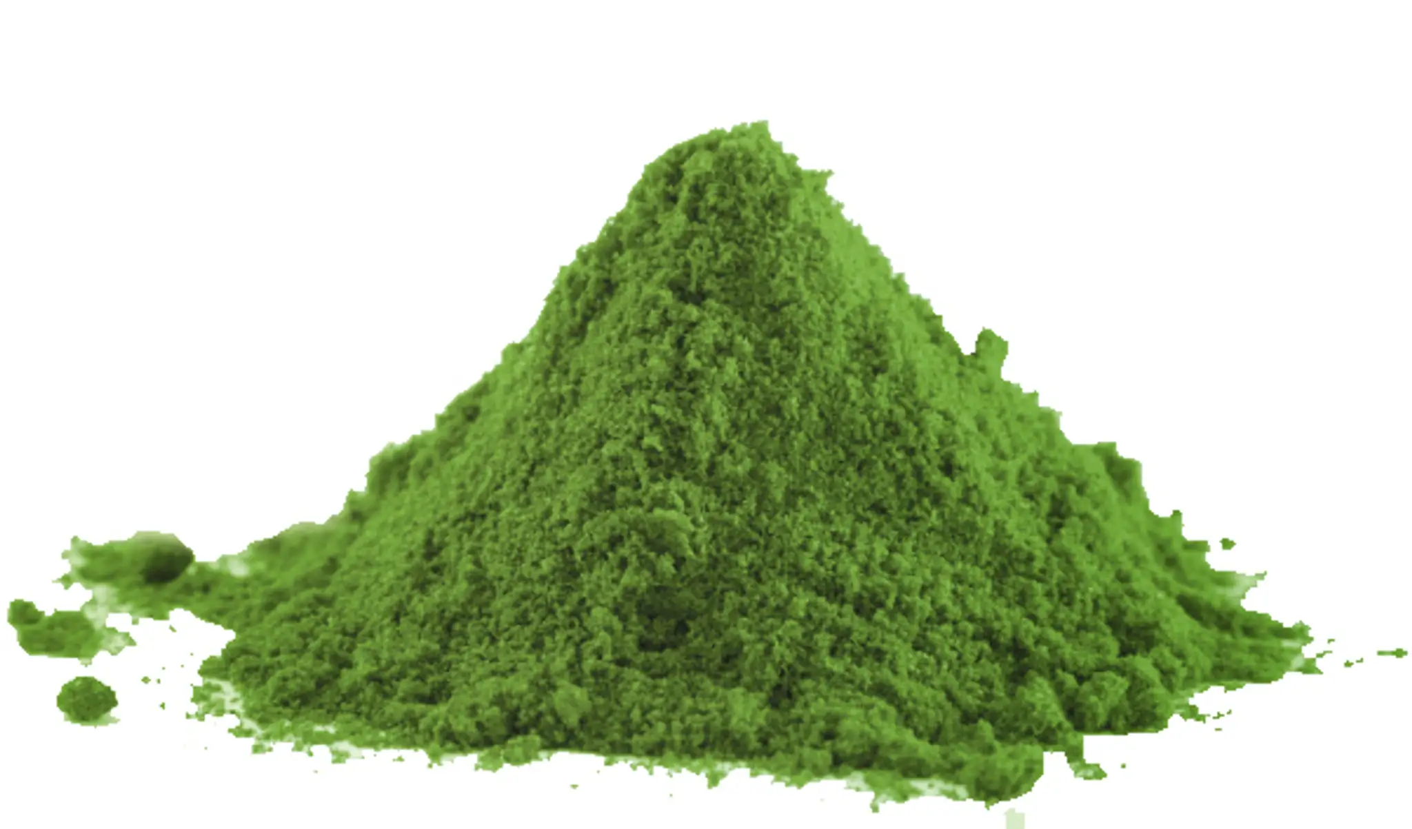 Spirulina.jpg