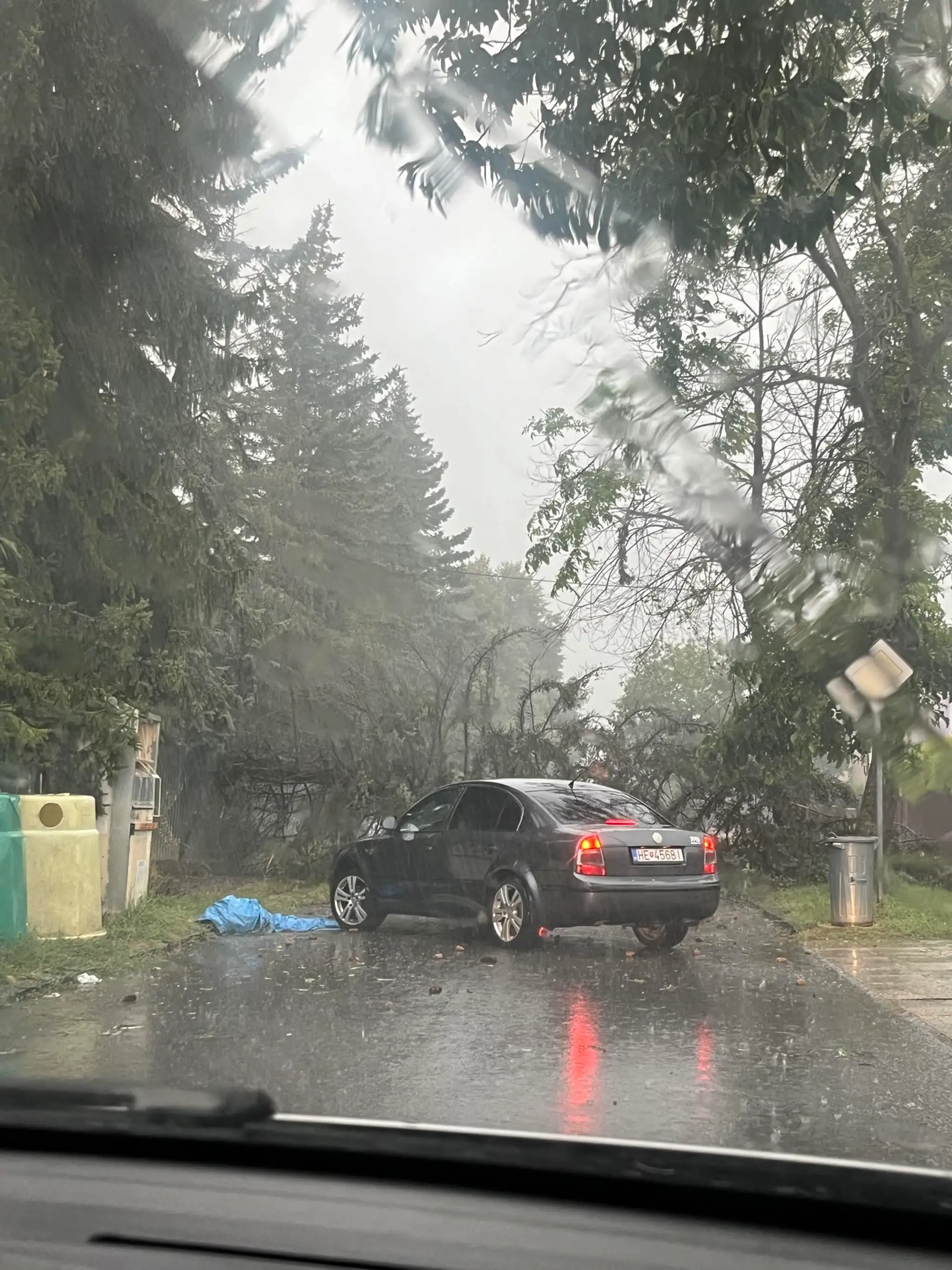 Spadnutý strom v Humennom.