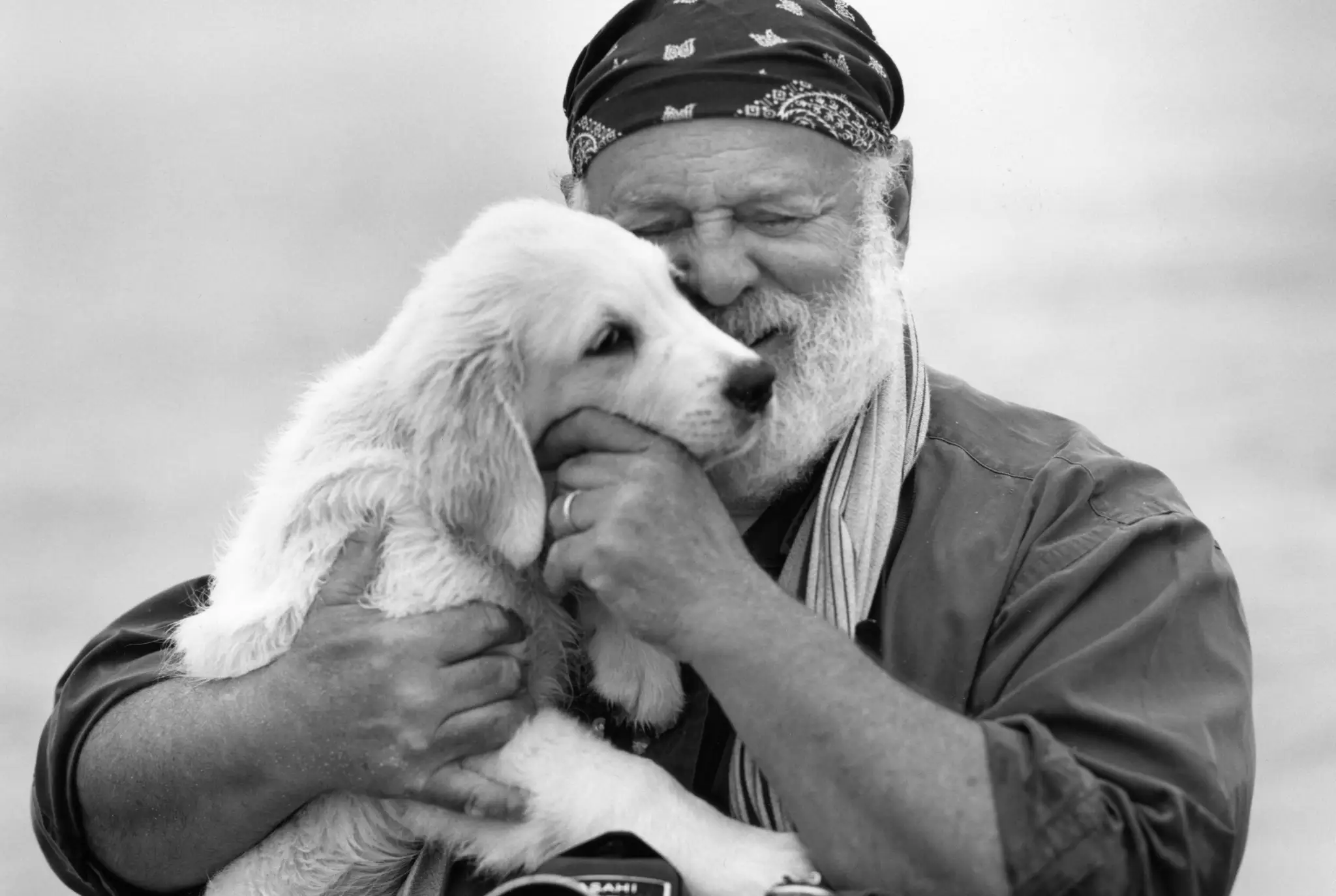 Bruce Weber