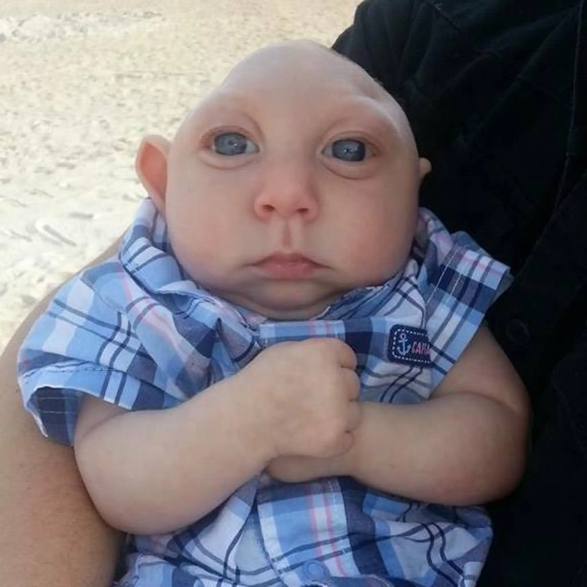 Jaxon Emmett Buell