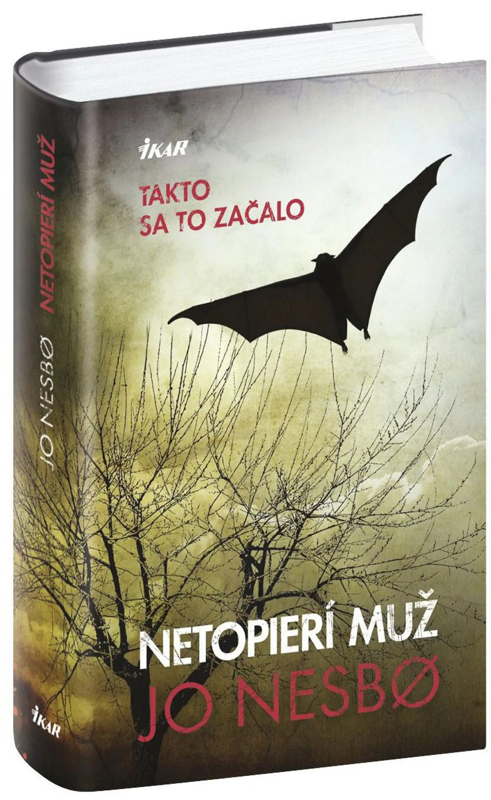 3D Netopieri muz.jpg