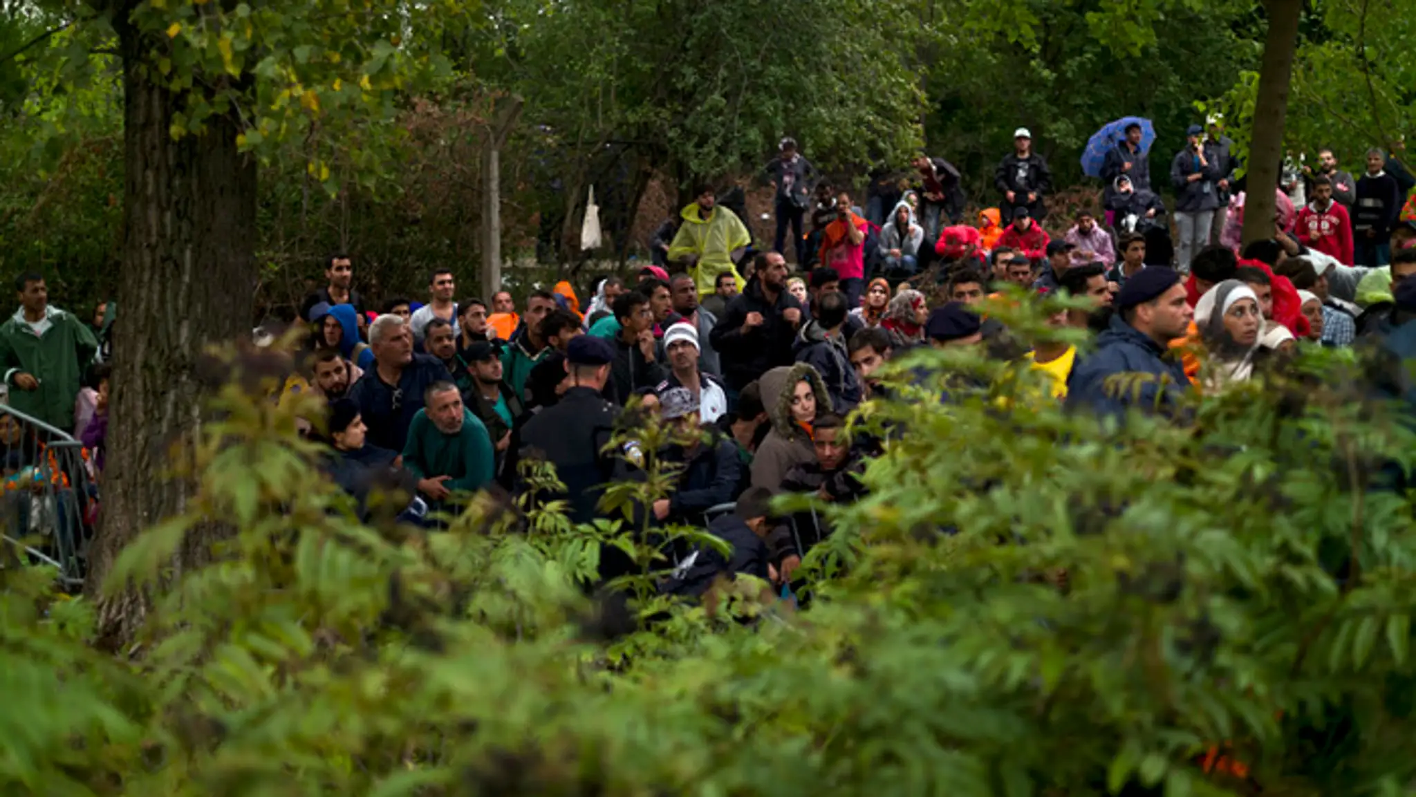 Migranti medzi chorvátsko-maďarskou hranicou.