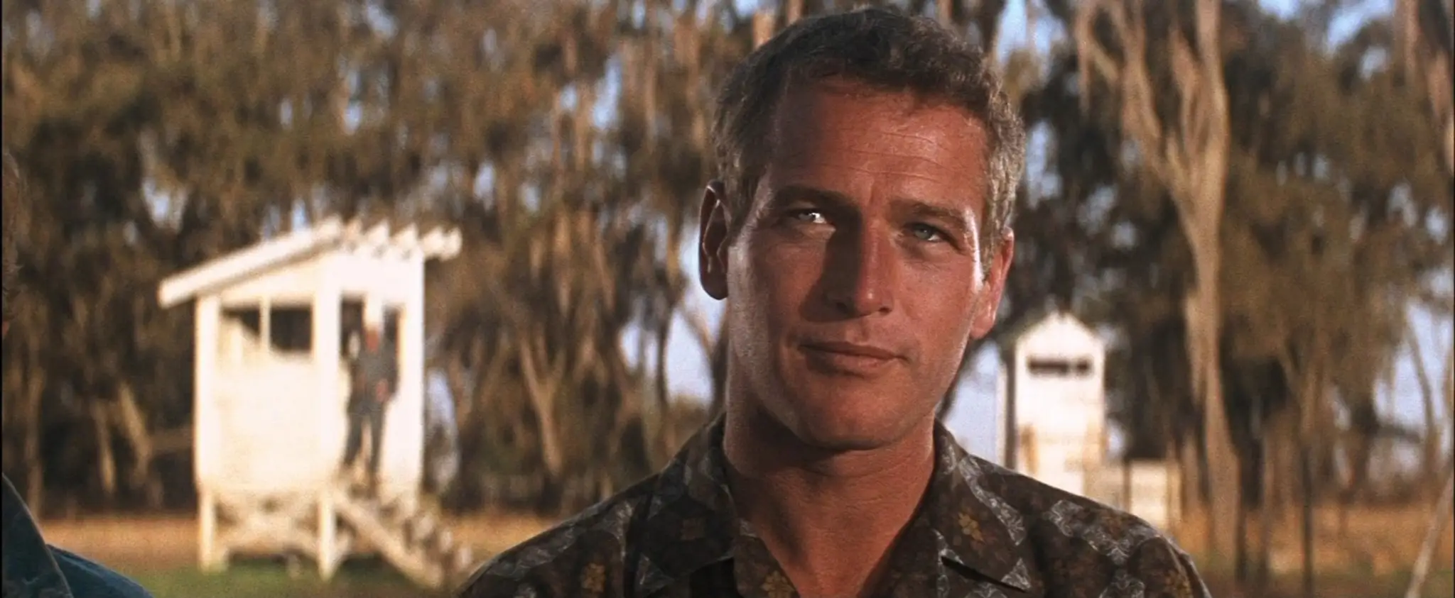 Paul Newman