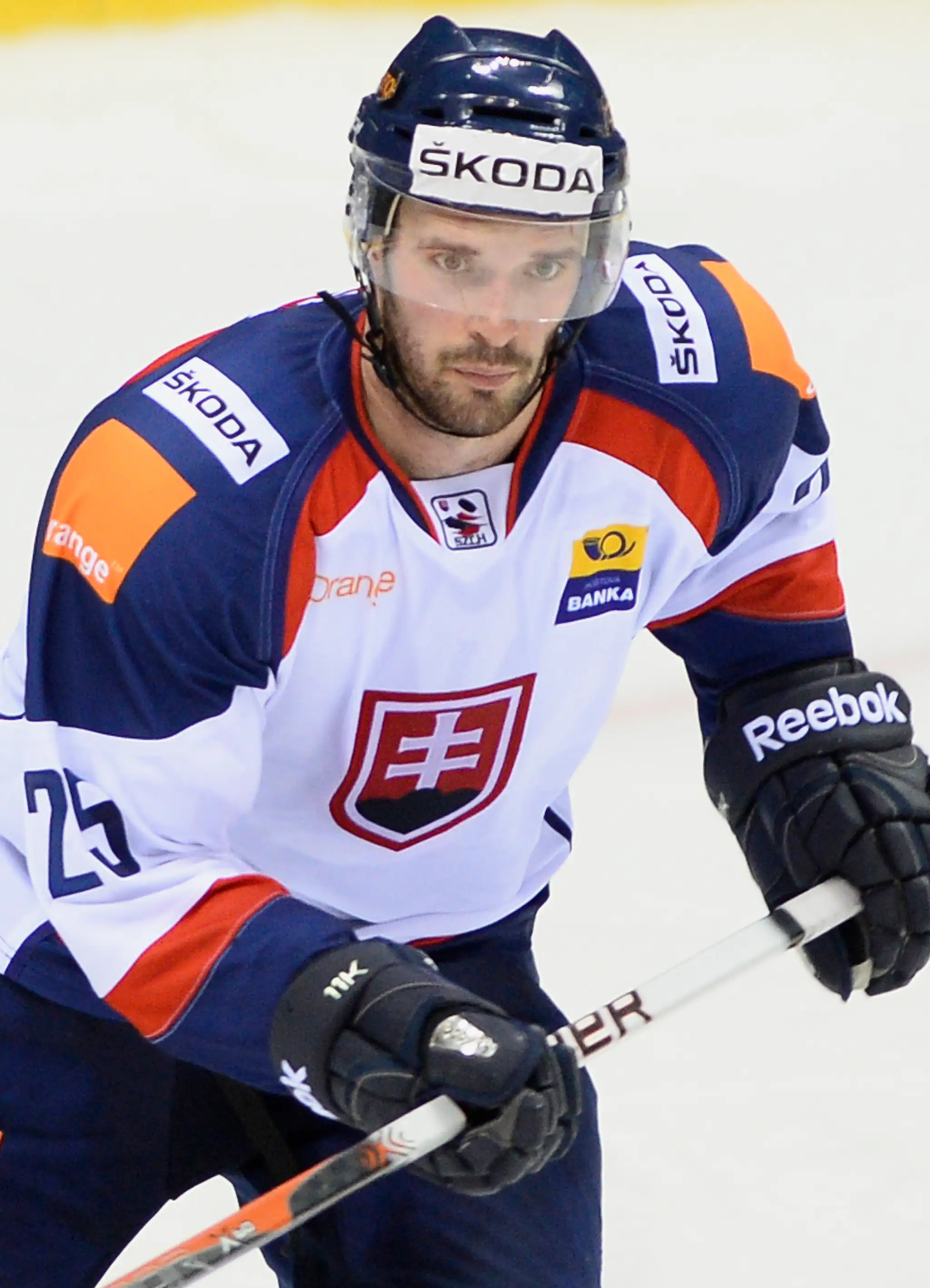 Marek Viedenský