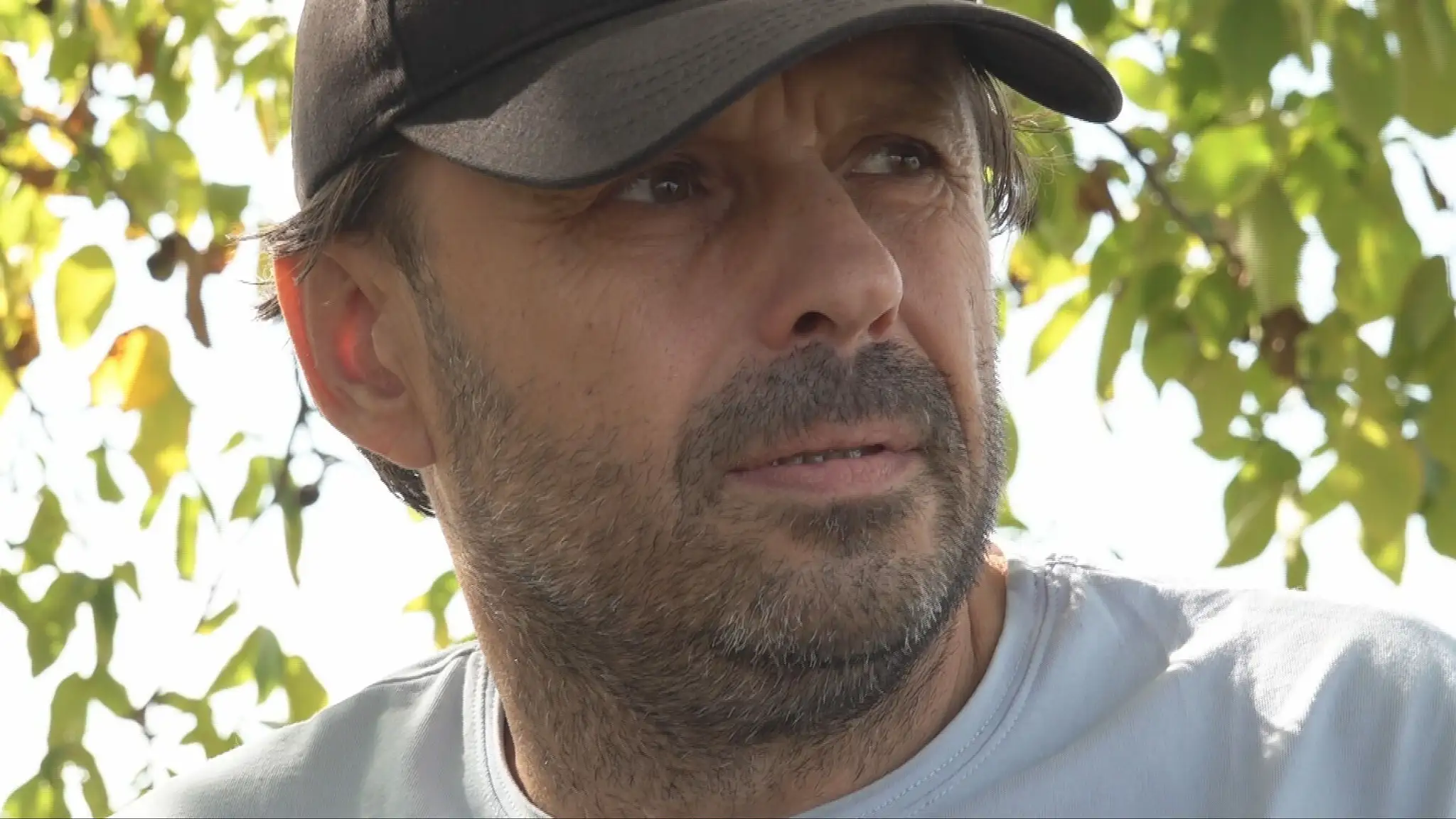 Milan Antala