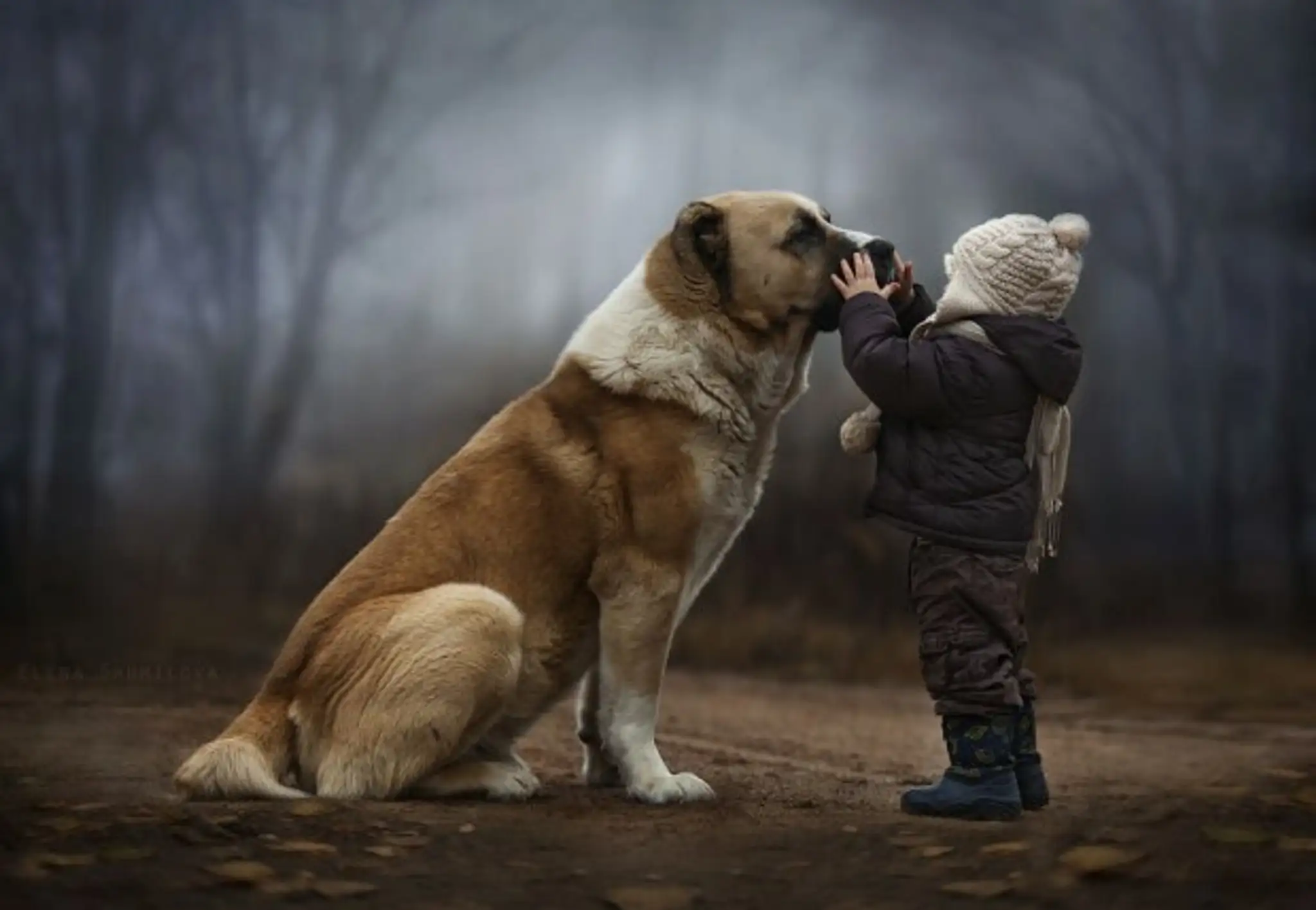 animal-children-photography-elena-shumilova-1-620x429.jpg