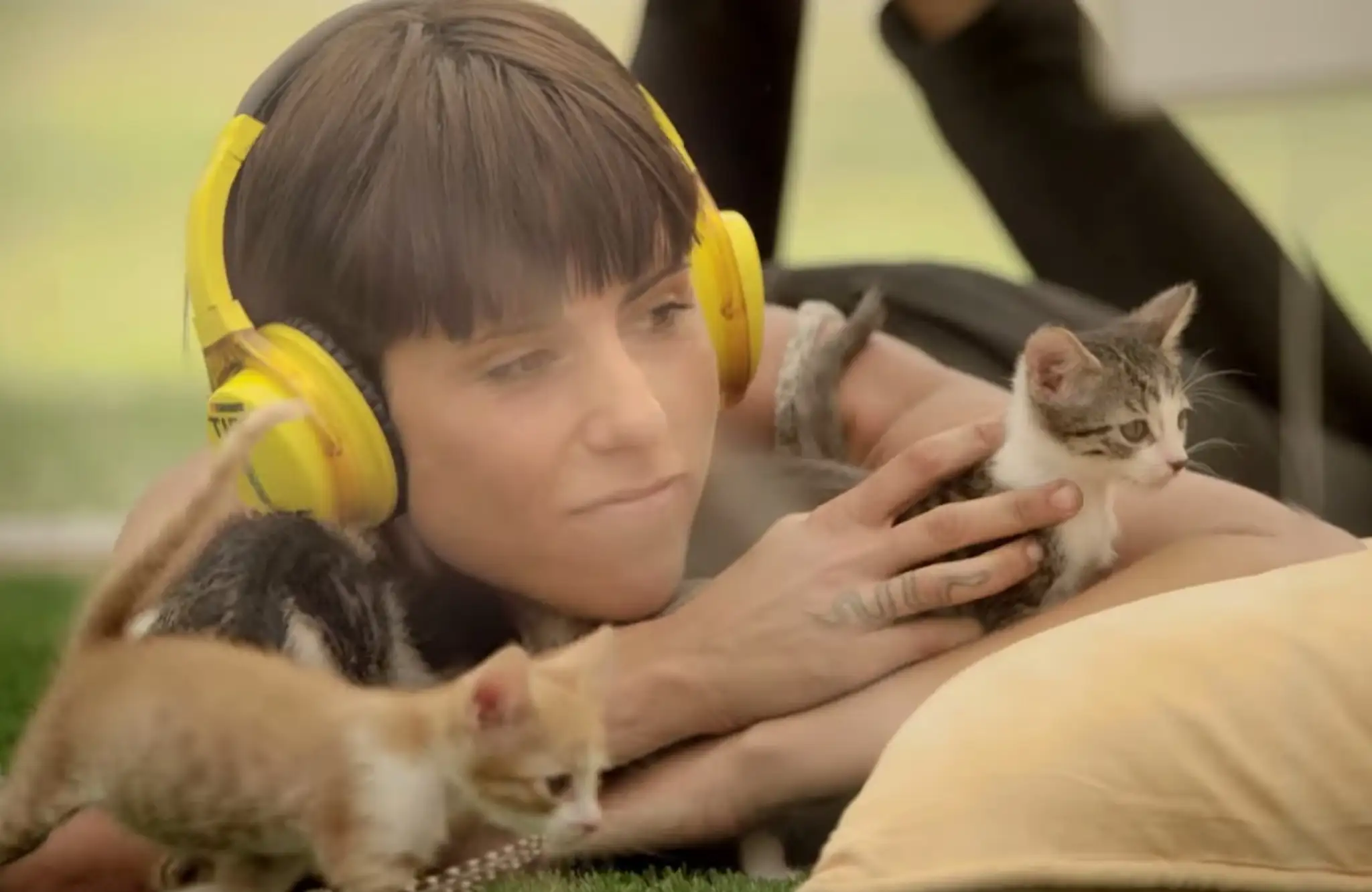Kitten Therapy
