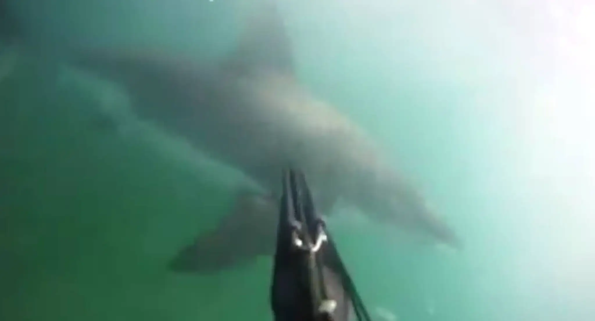 Muž si všetko nakrútil na GoPro kameru. 