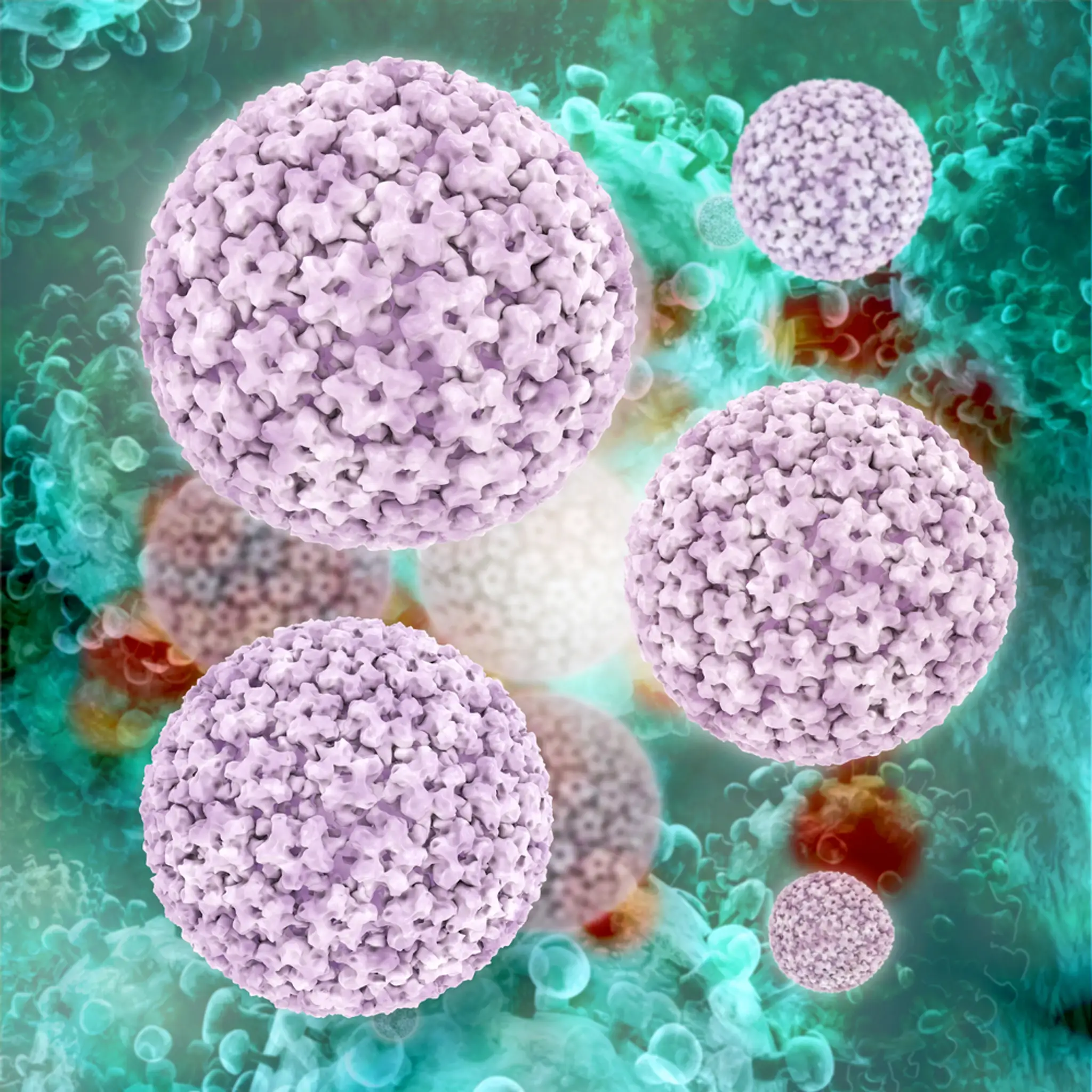 HPV vírus