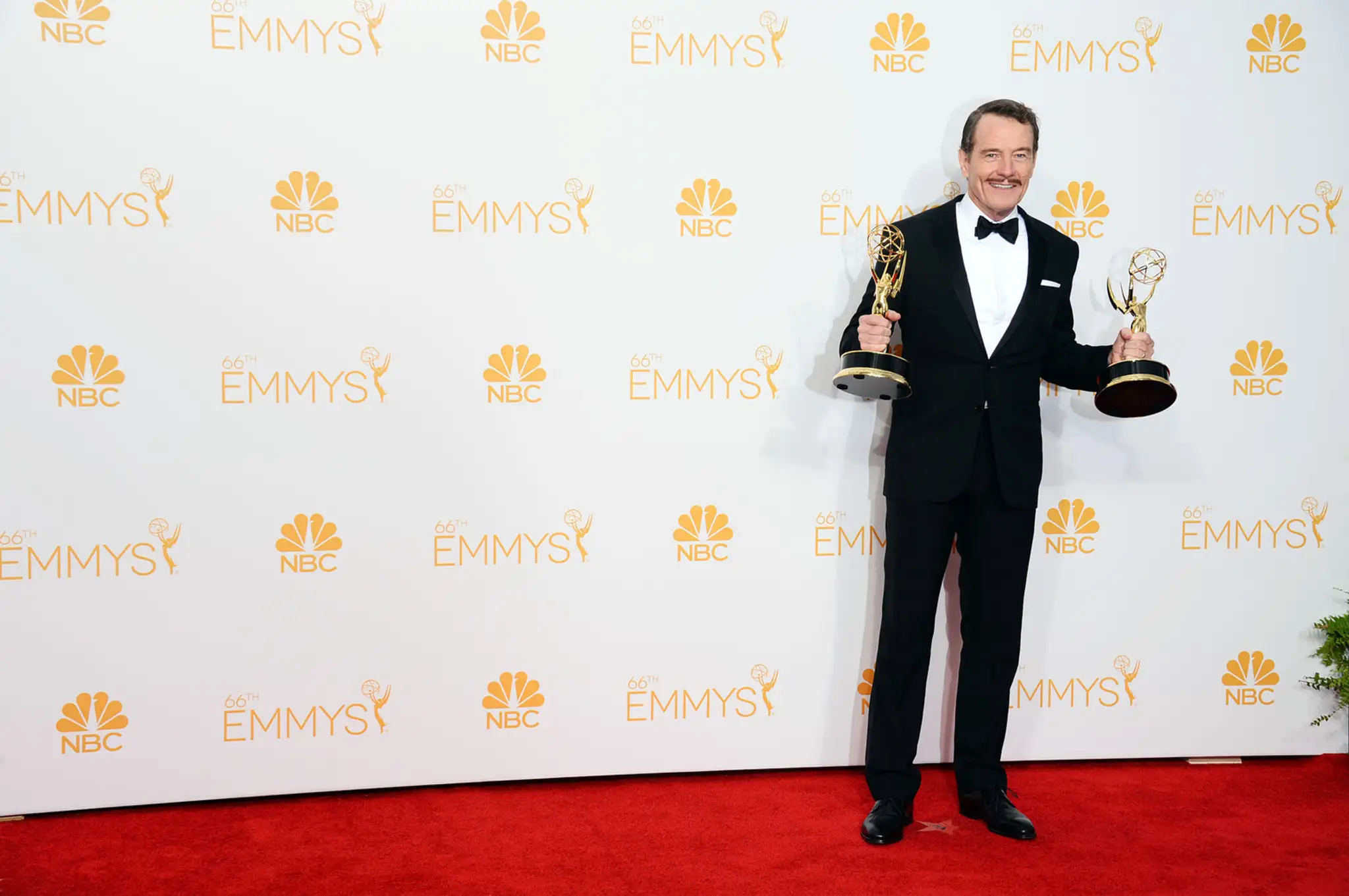 2014_Primetime_Emmy_Awards_-_Press_Room272458178596.jpg