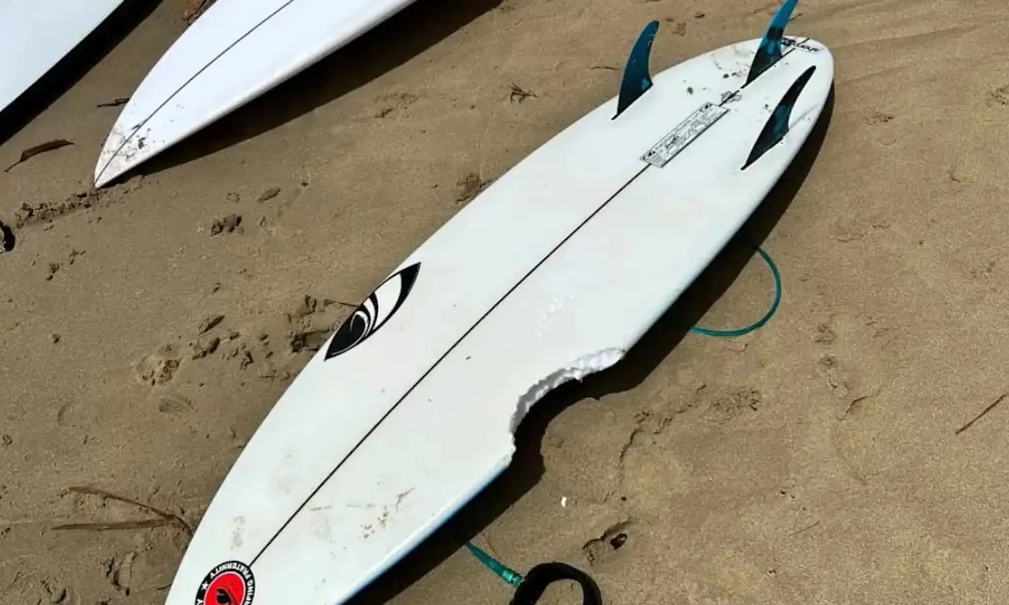 Doska pre surfistov po zahryznutí žralokom.