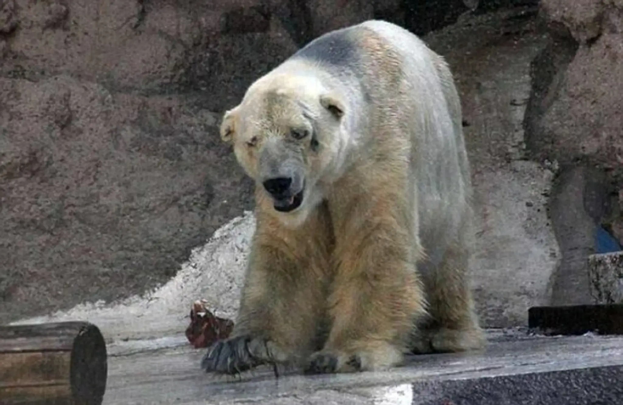 arturo1.jpg
