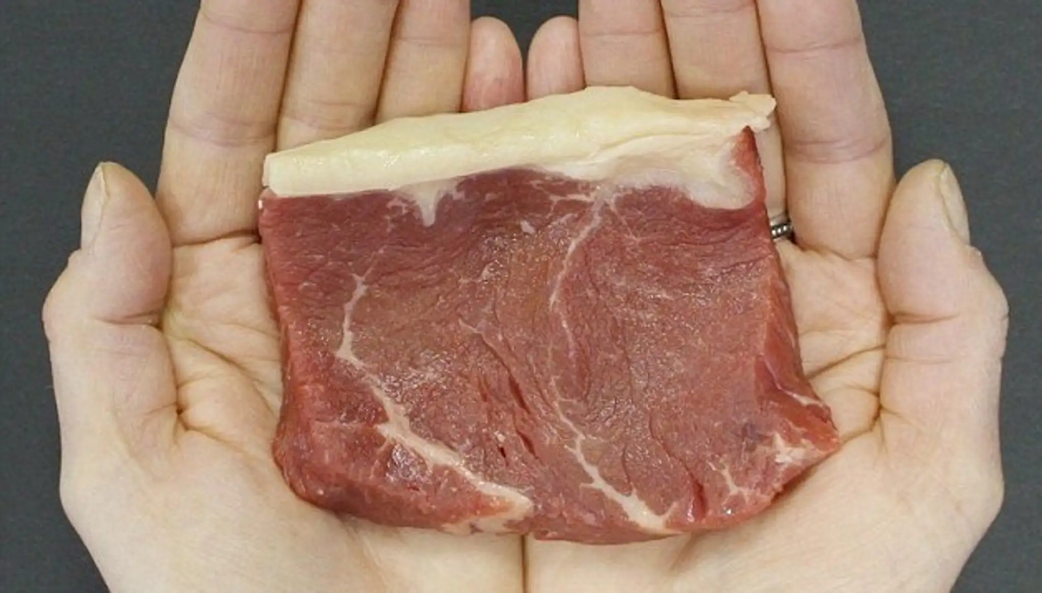 3395239B00000578-3559914-A_portion_of_red_meat_is_120g_and_has_162_calories_and_5_4g_of_f-a-1_1461827867615.jpg