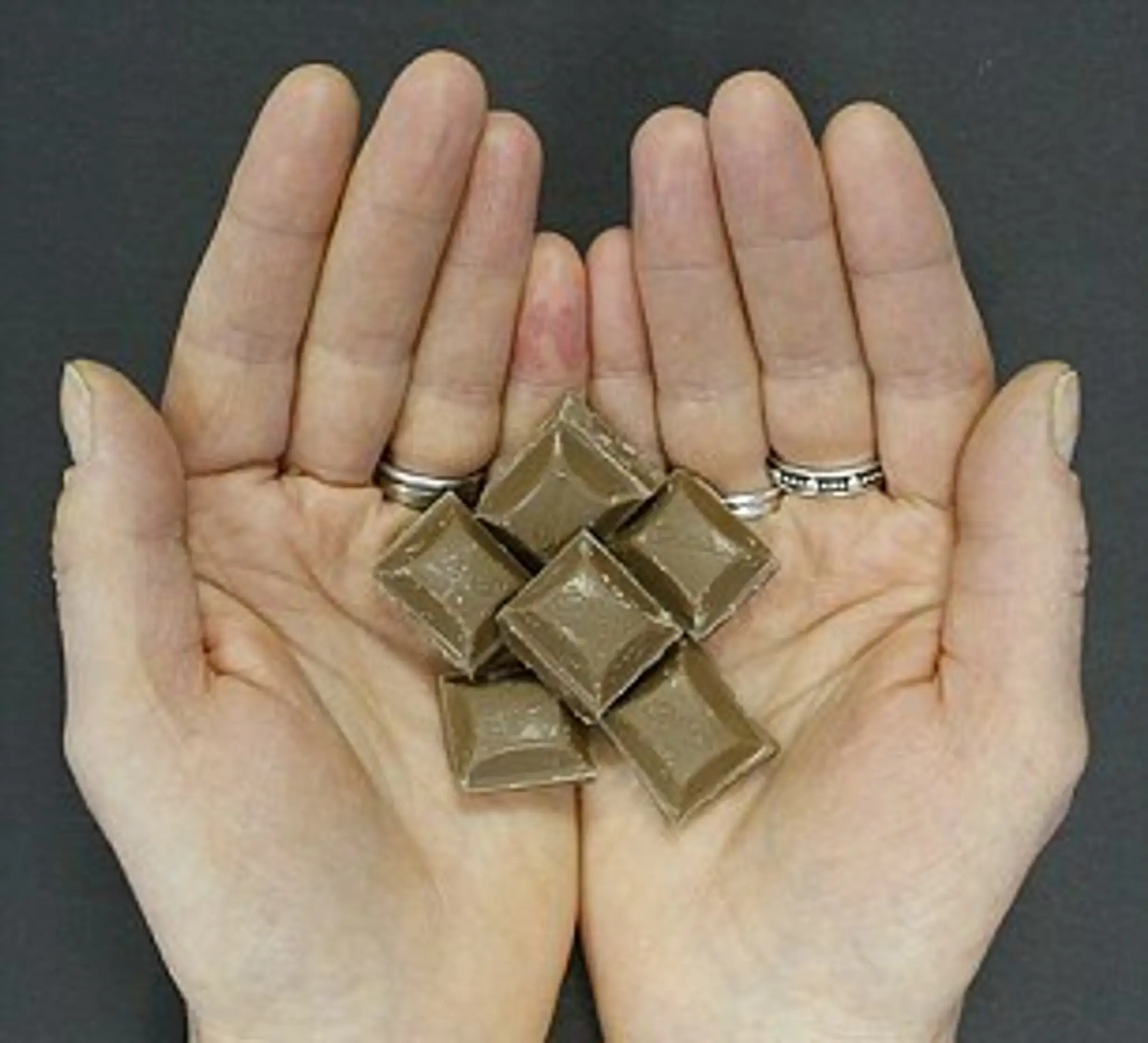 3395379800000578-3559914-A_portion_of_chocolate_is_30g_containing_159_calories-a-10_1461827868851.jpg