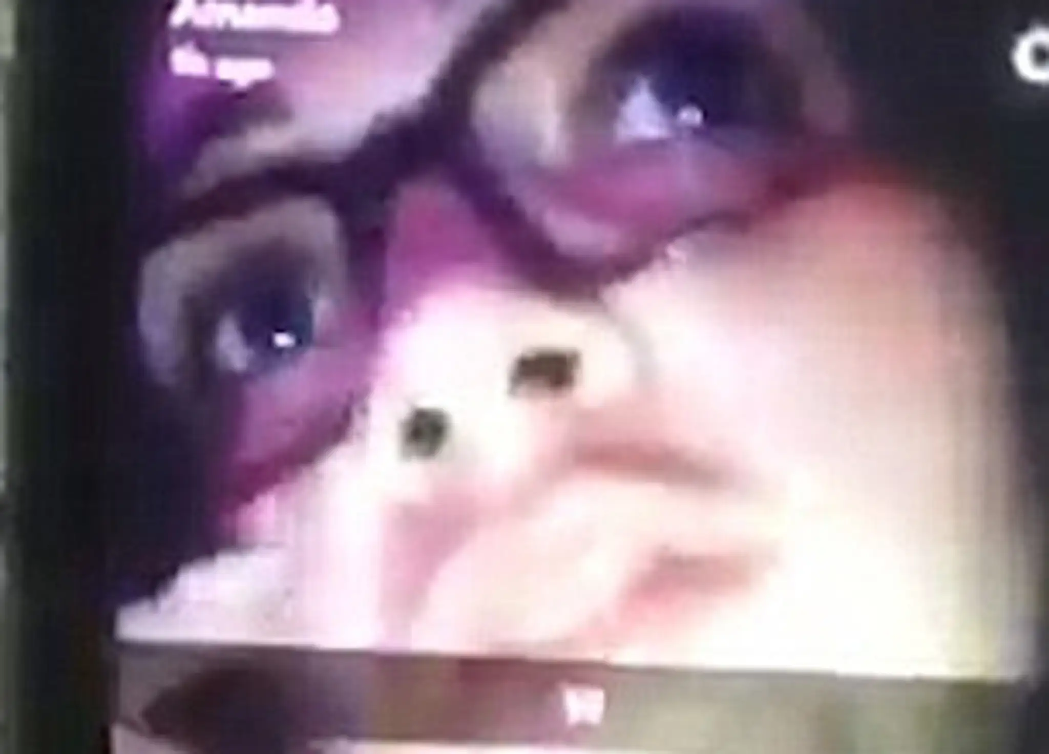 amanda2.jpg