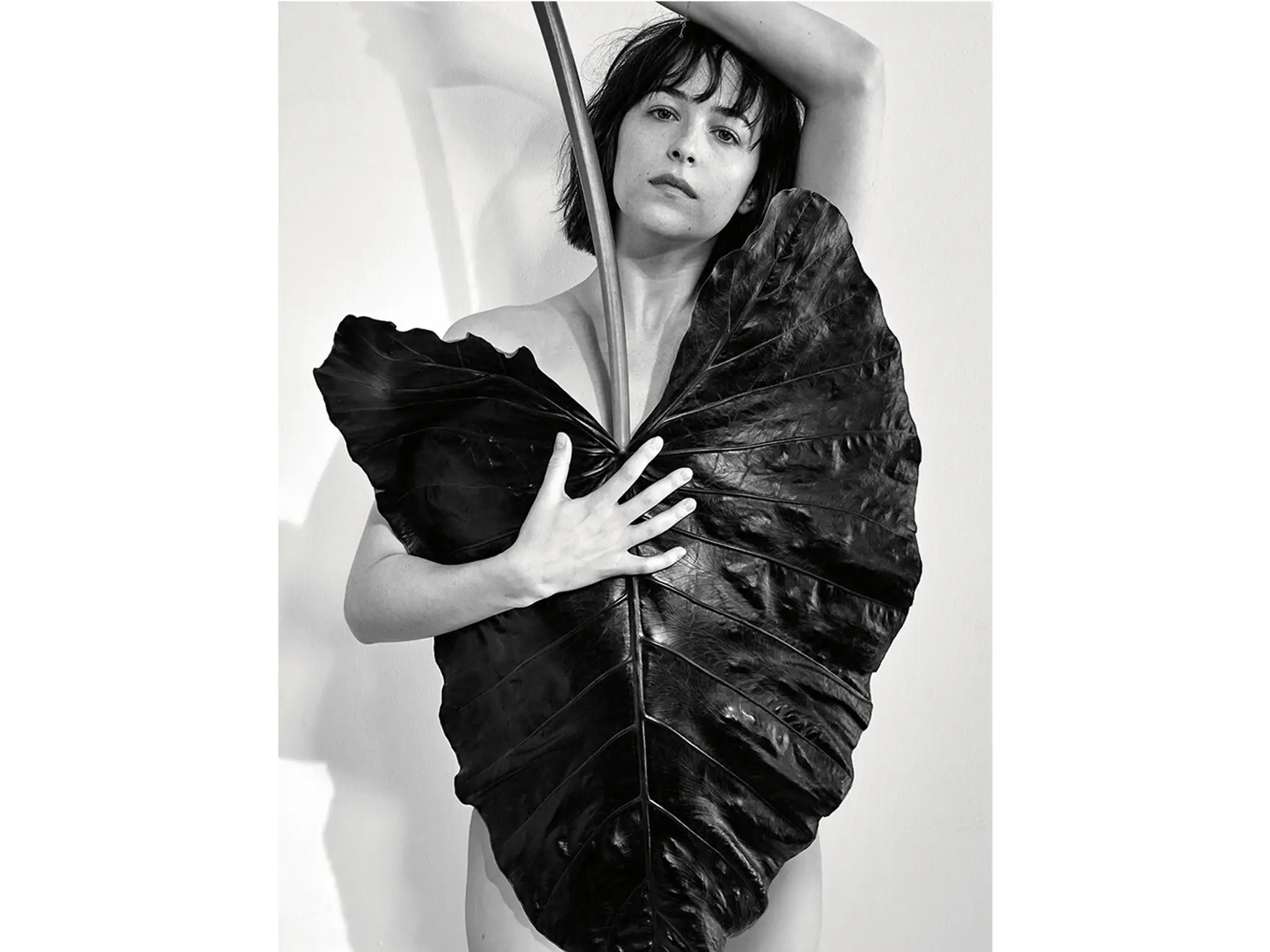 Dakota Johnson