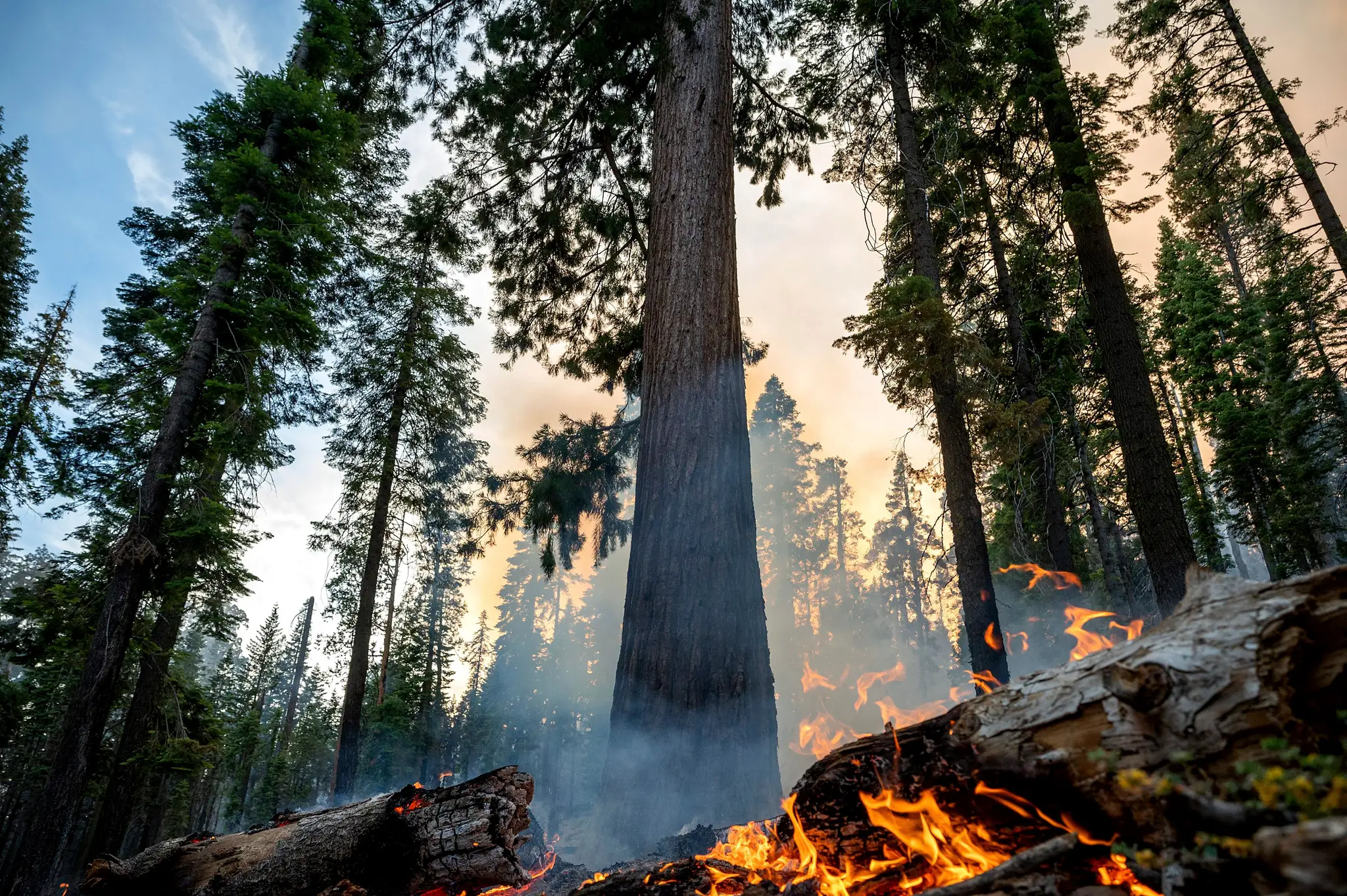 Požiar v Yosemitskom národnom parku