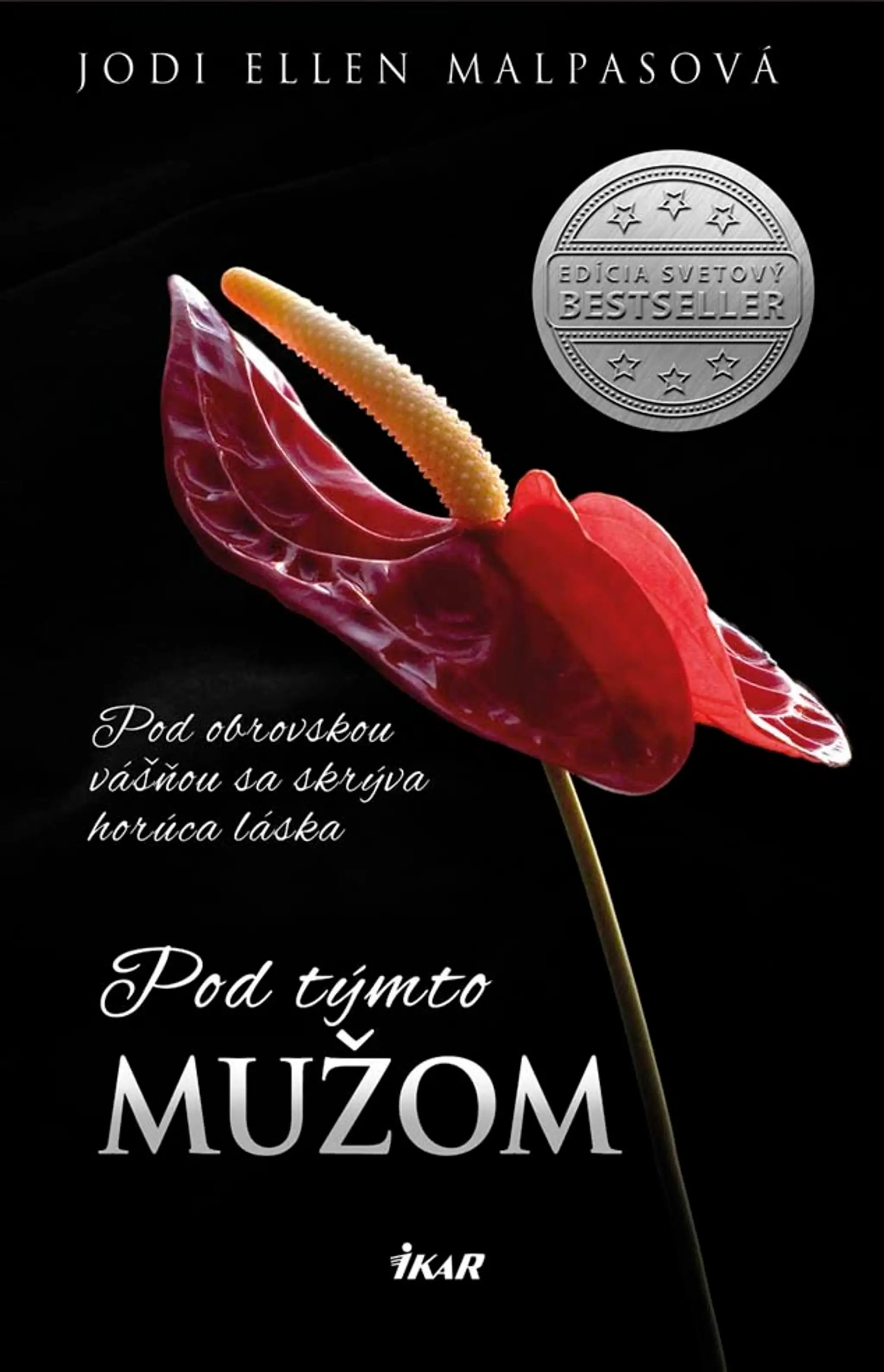 Pod tymto muzom.jpg