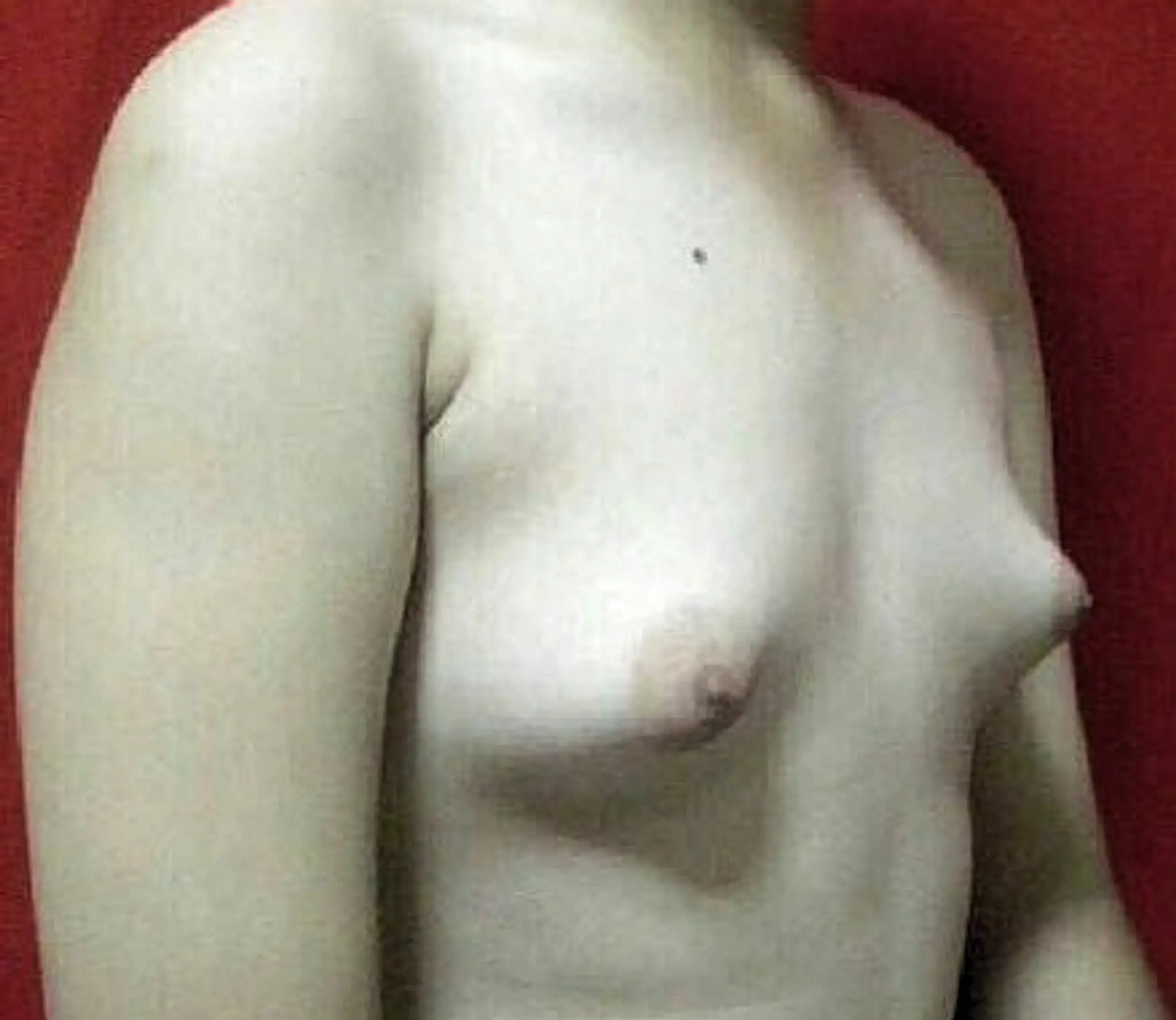 prsia.jpg