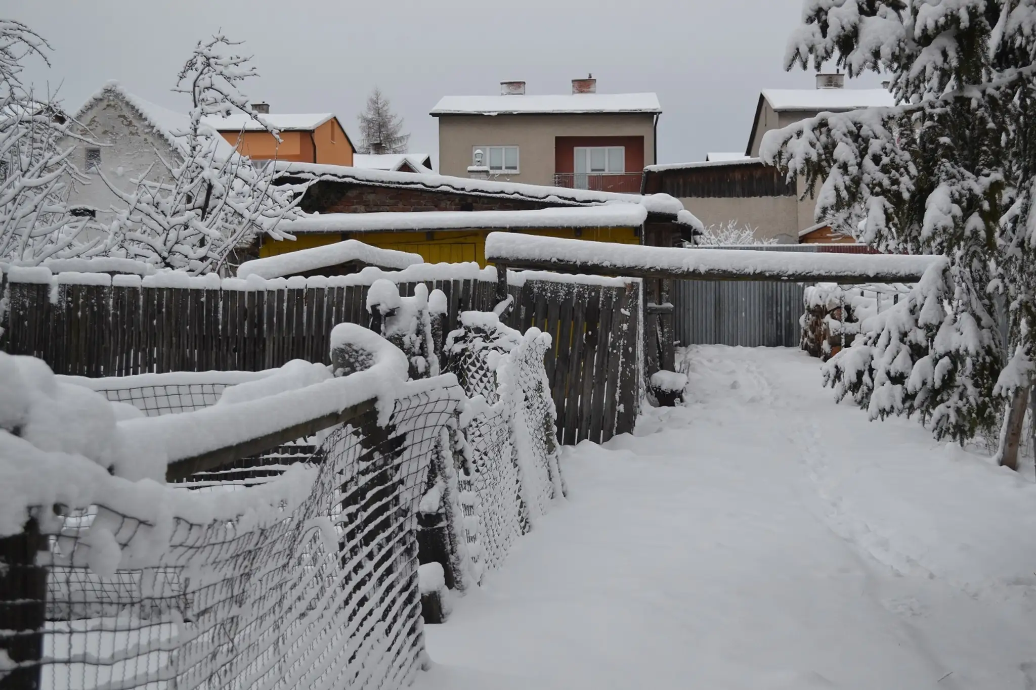 kalmita spisskabela.jpg