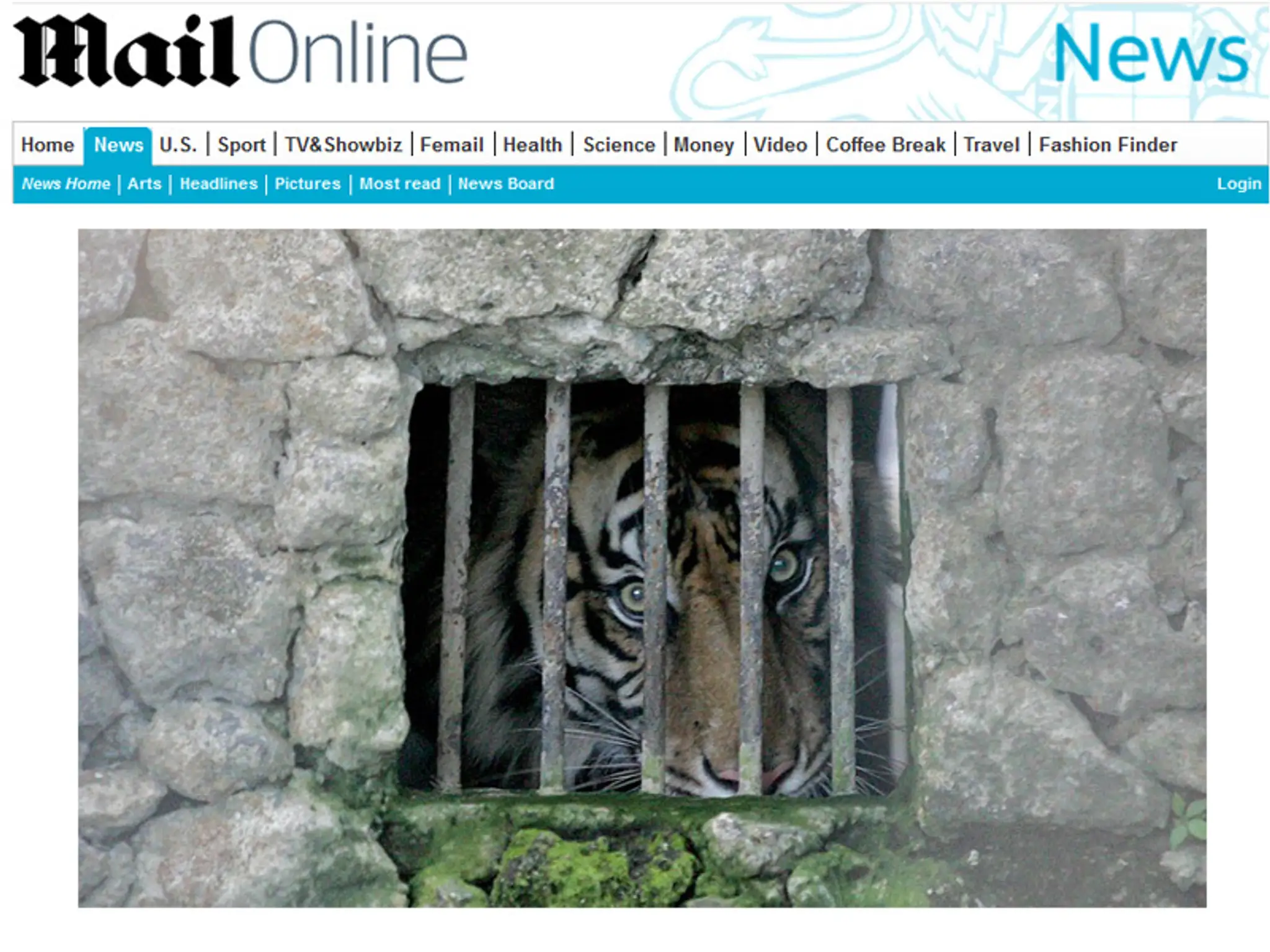V zoo už uhynul aj vzácny druh tigra.