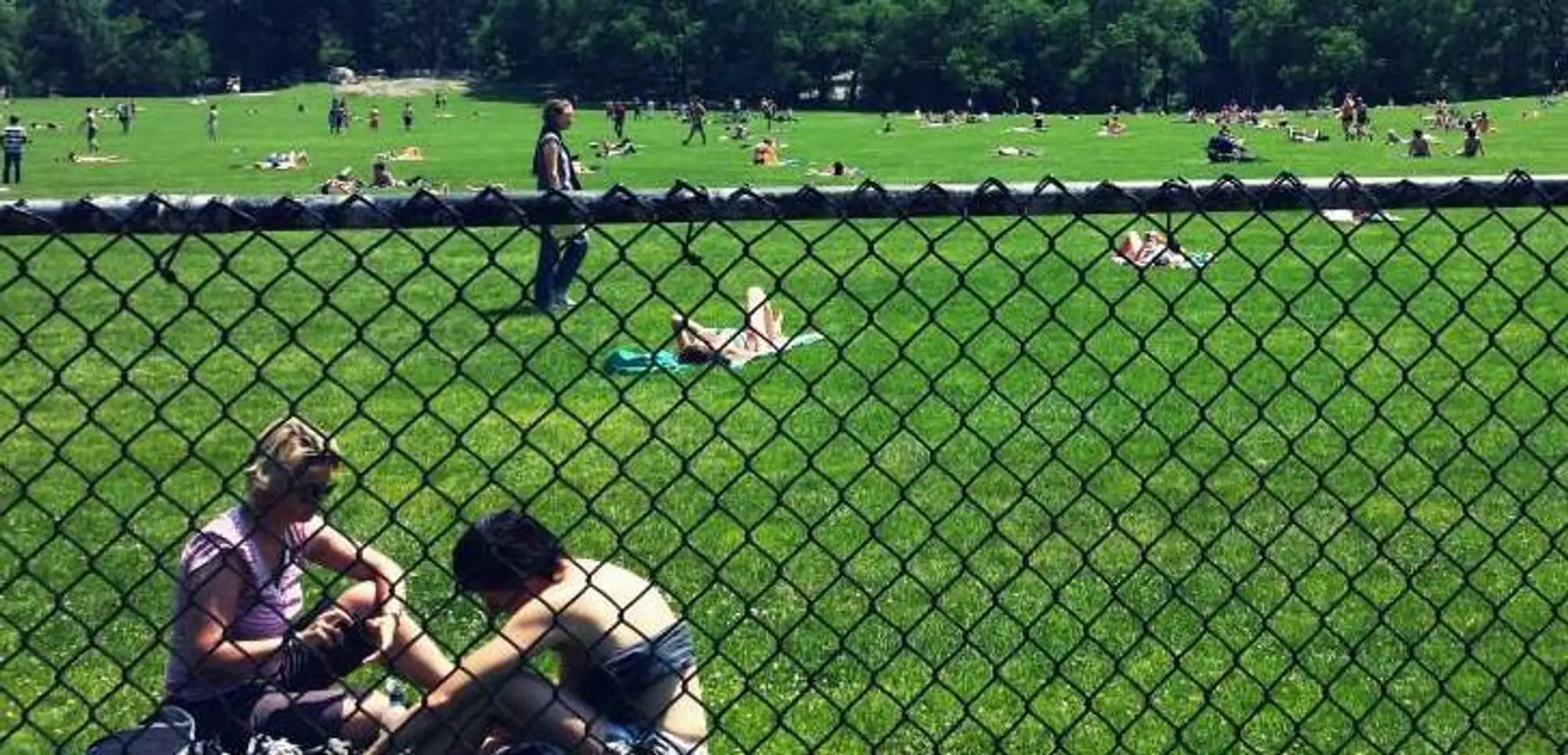 park2.JPG