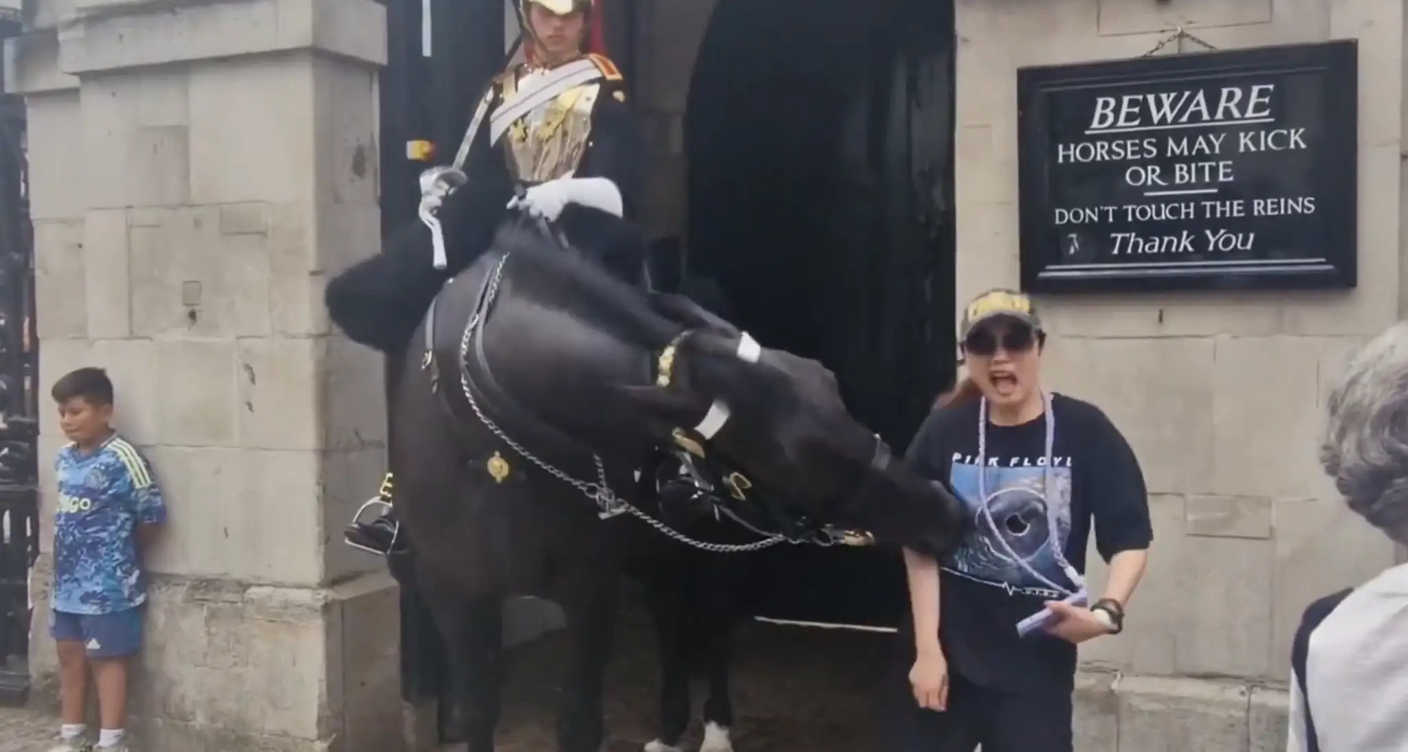 Kôň uhryzol turistku