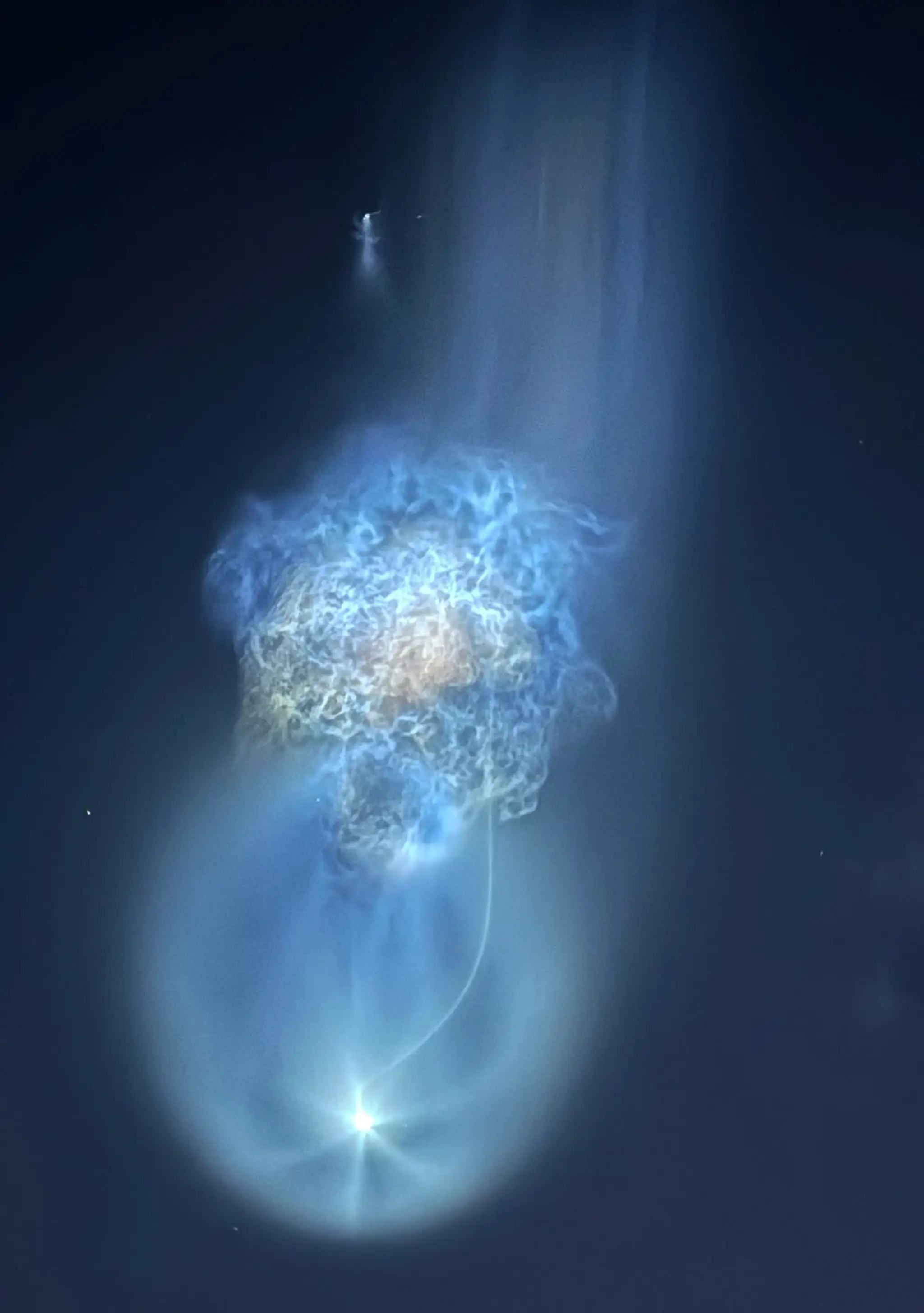 SpaceX jellyfish (4)