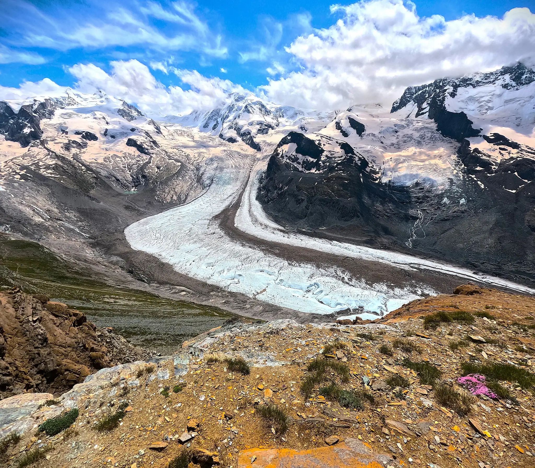 Topiace sa Alpy (Švajčiarsko)