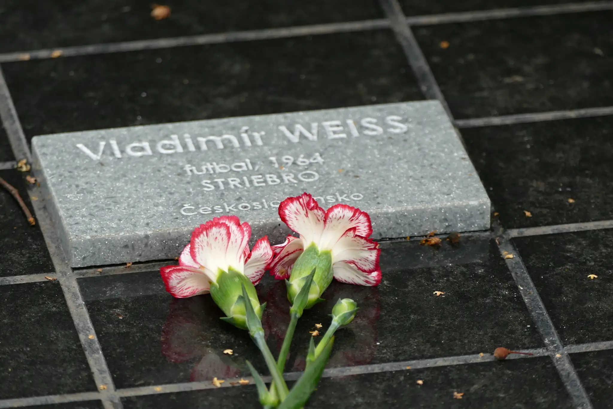 Pamätník Vladimíra Weissa najstaršieho na Národnom cintoríne v Martine.