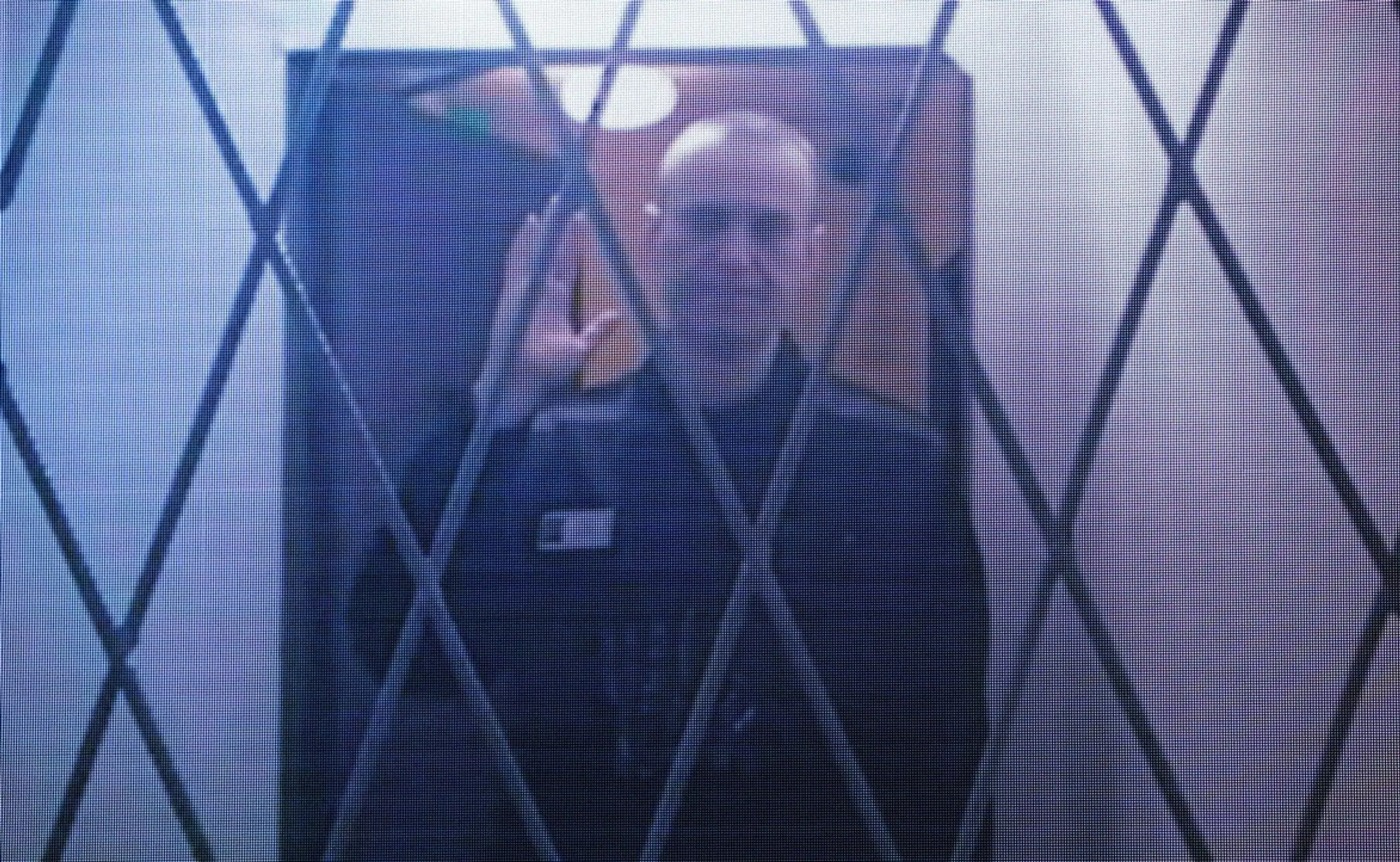 Alexej Navaľnyj prichádza do súdnej siene.