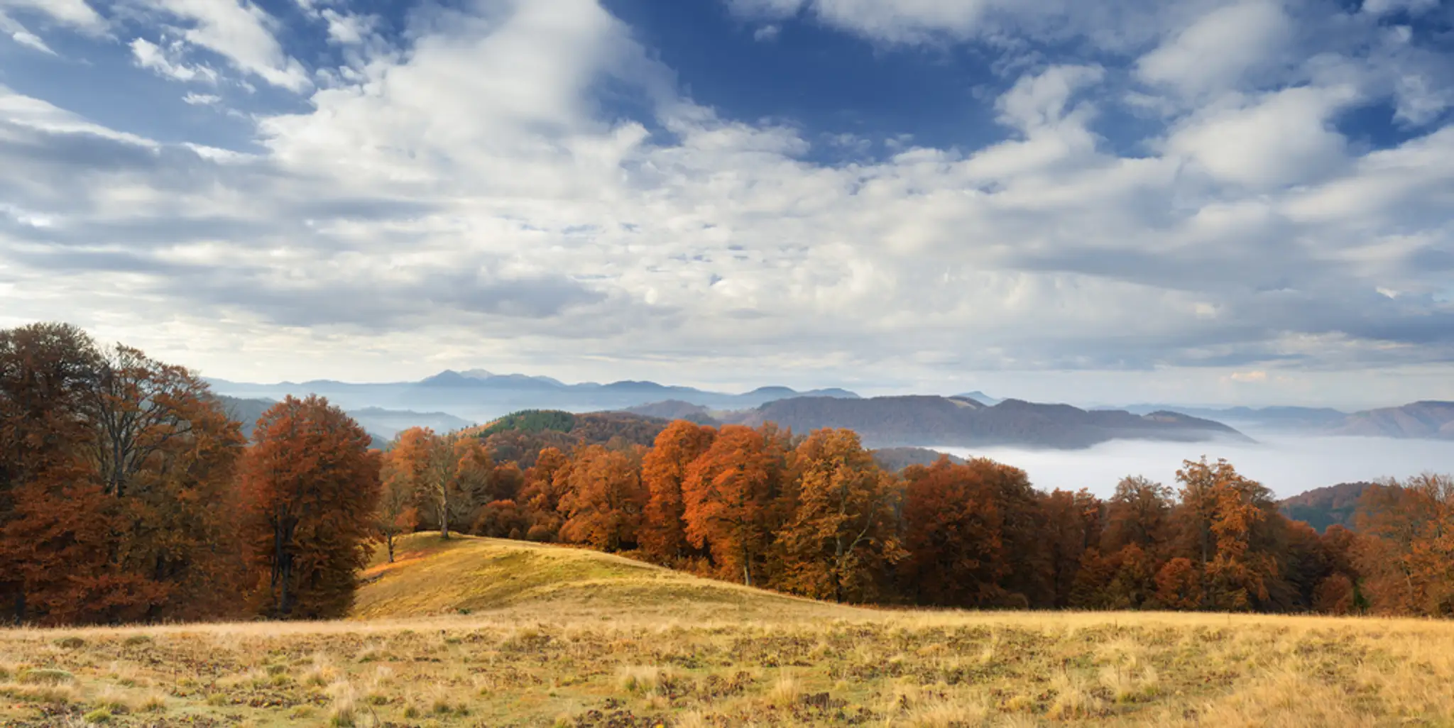 shutterstock_220187707.jpg