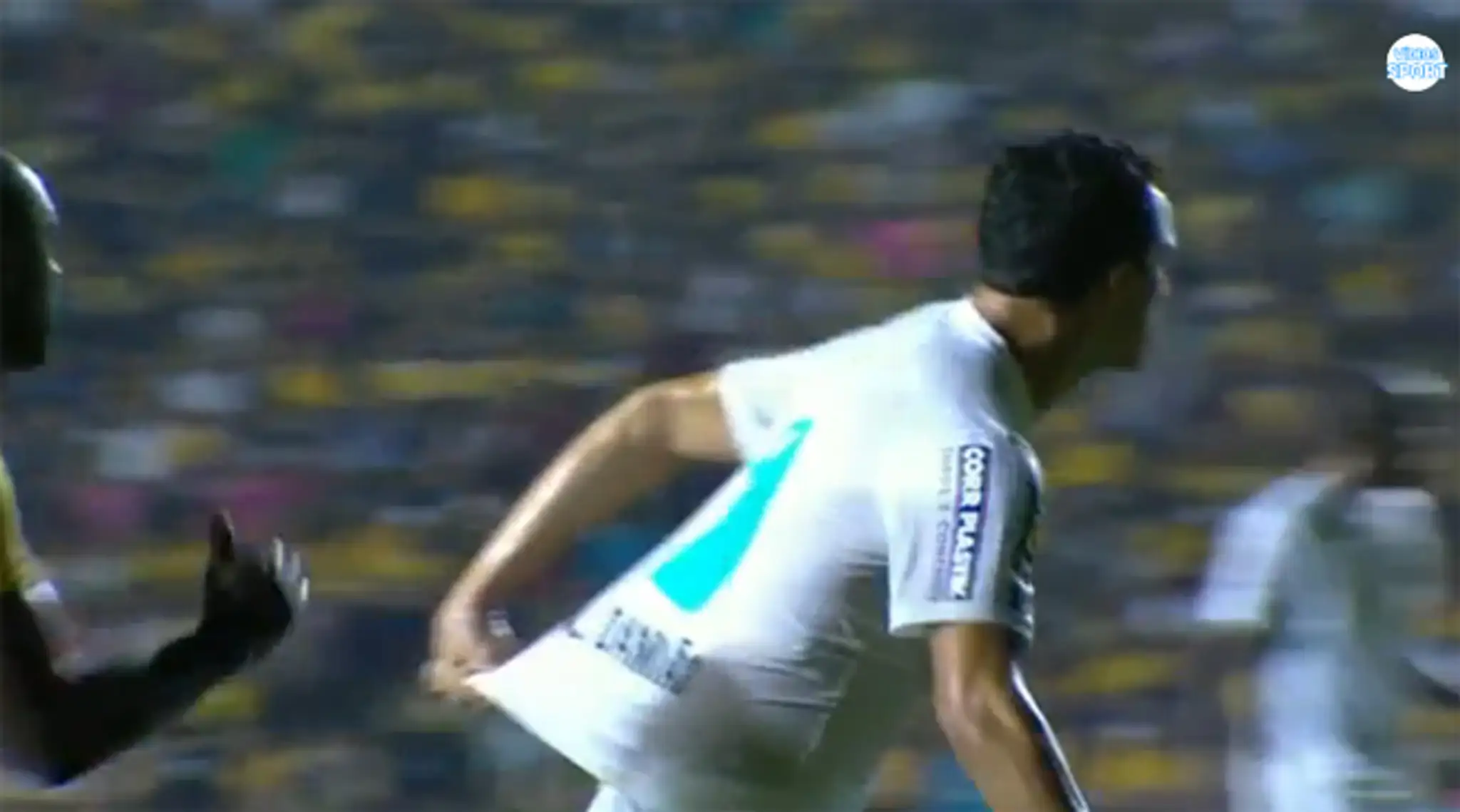 Faul Leandroa Damiao - sám na seba.