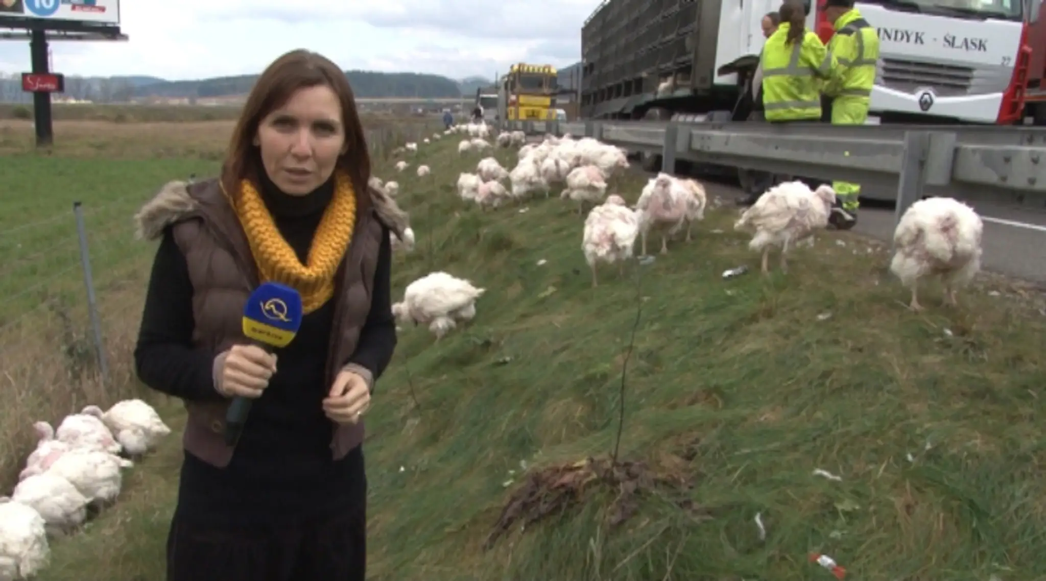 Morky na diaľnici.