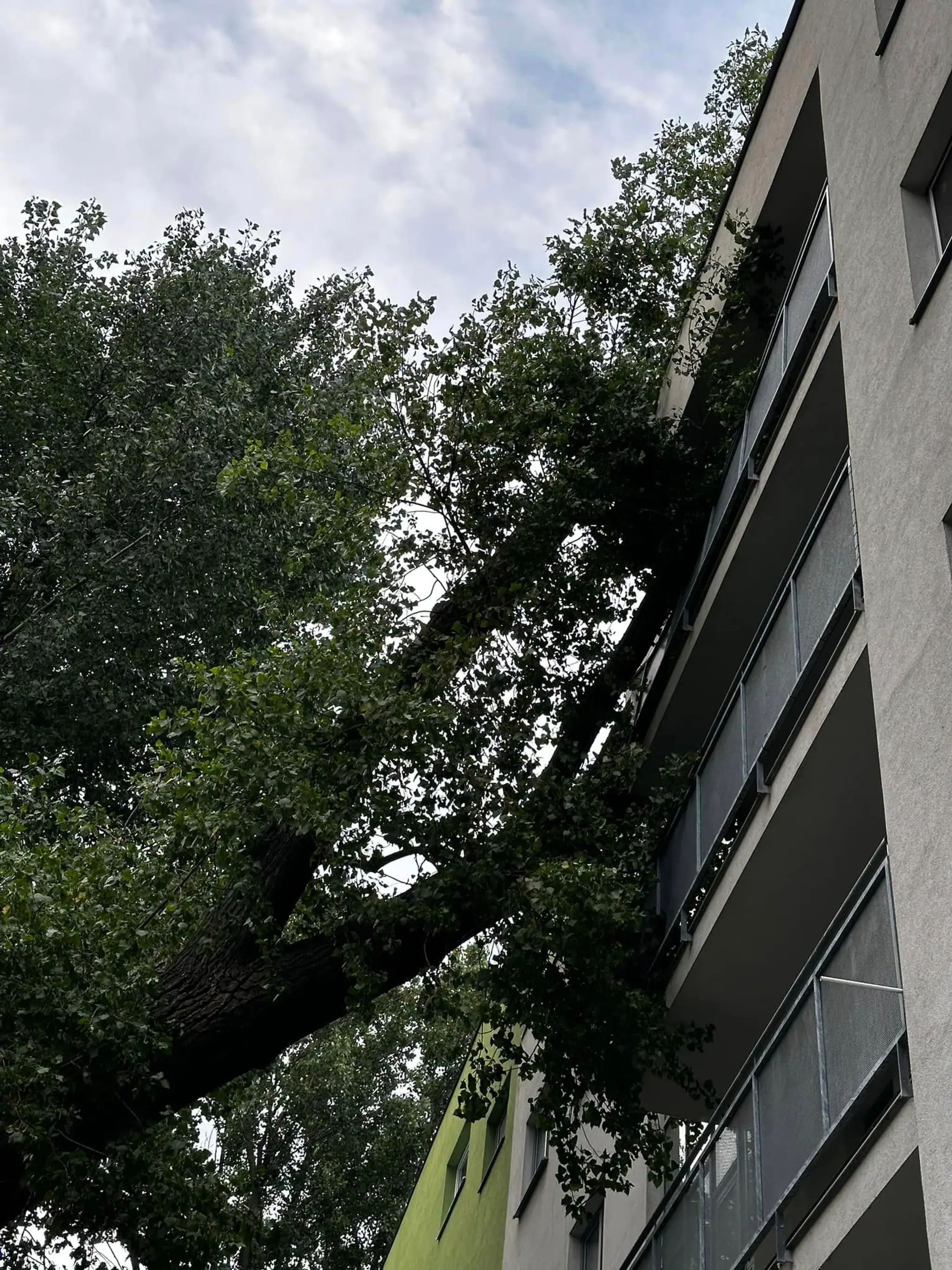 Spadnutý strom poškodil bytovku v Bratislave.