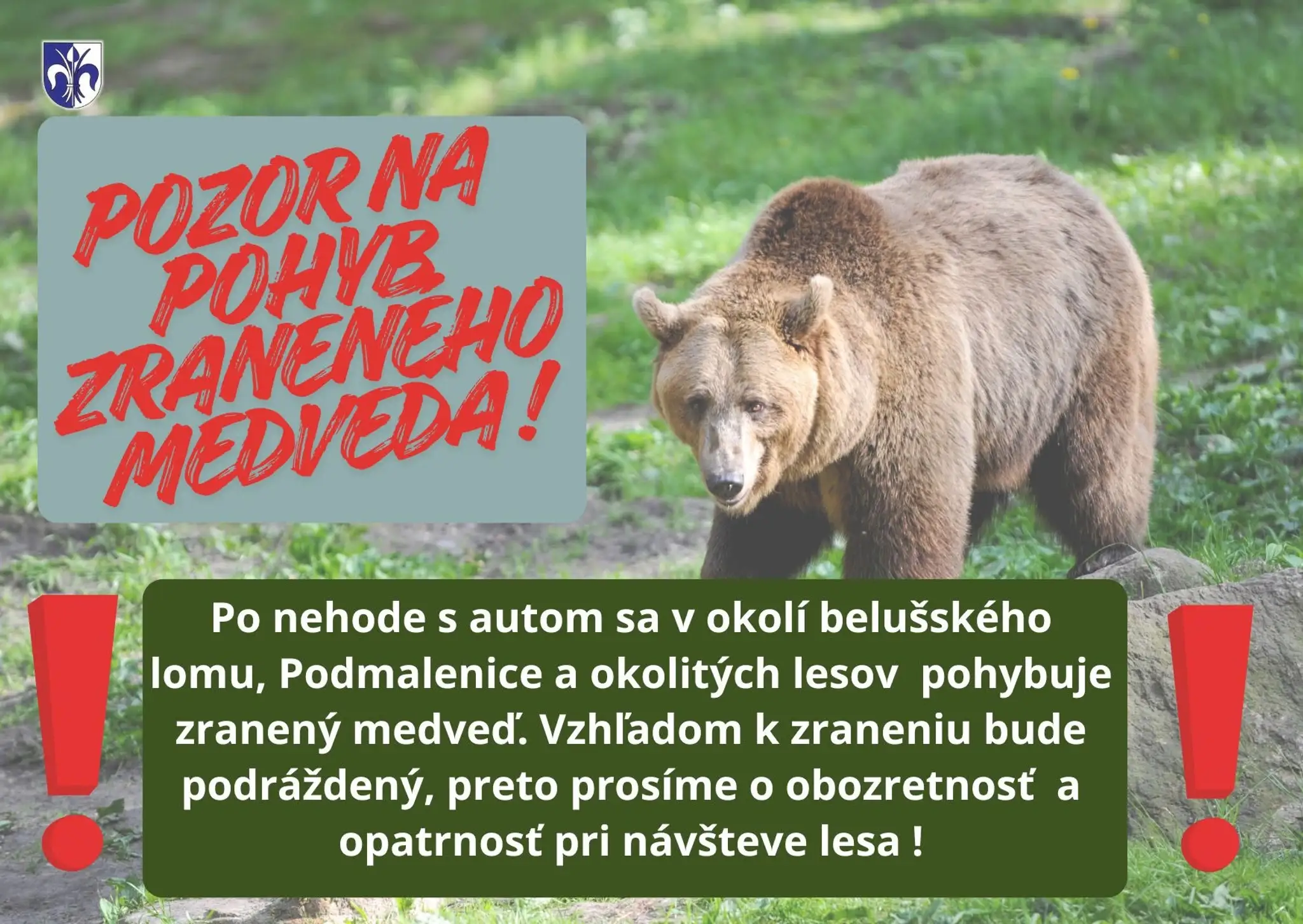 Pozor na medveďa