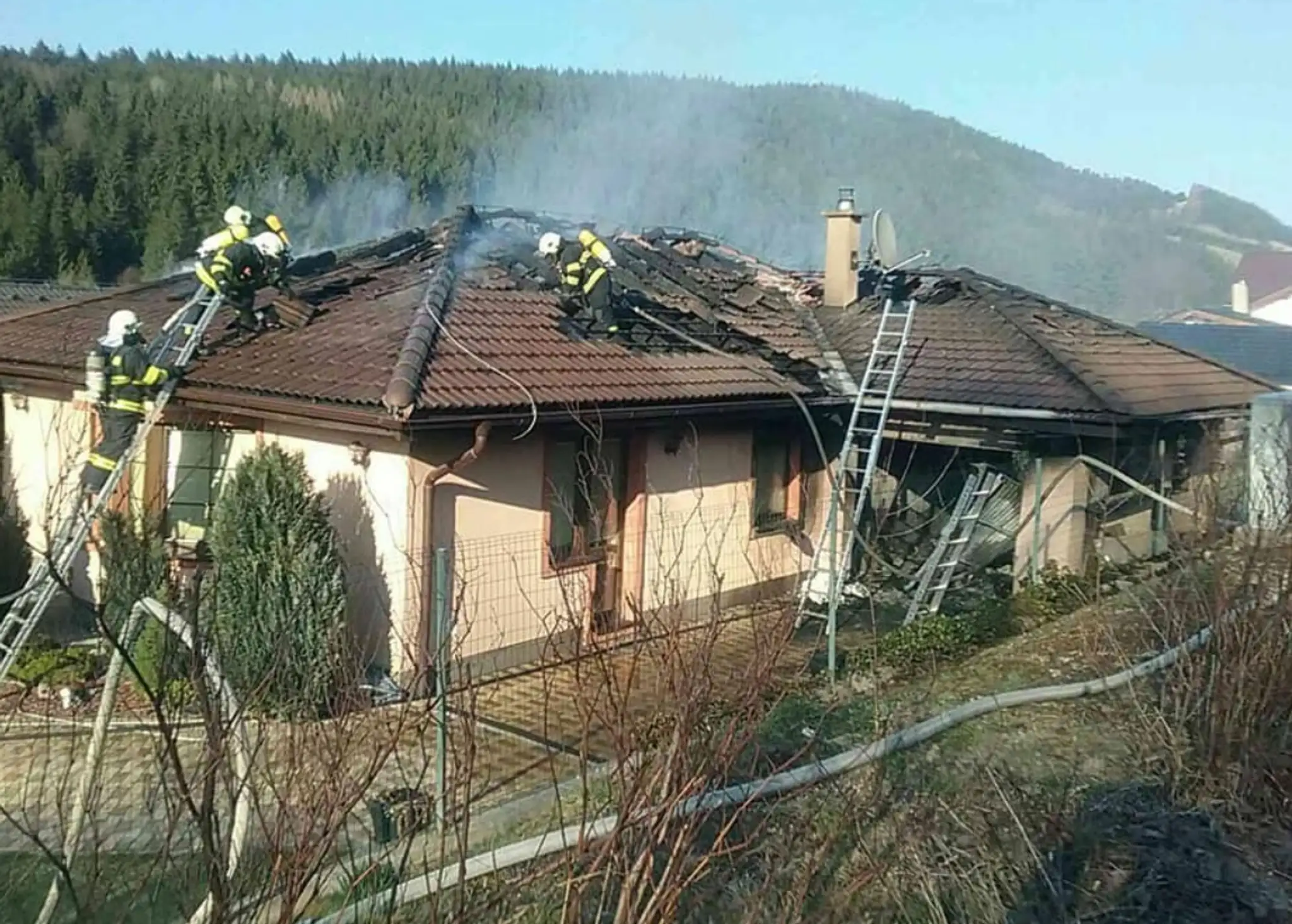 Keď sa ropuchy obrovské cítia ohrozené, vylučujú z hlavy toxickú, mliečnu tekutinu. 