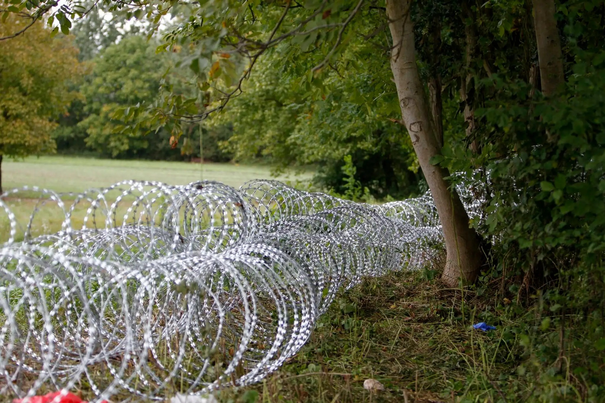 Hungary_Croatia_Migration977979288717.jpg