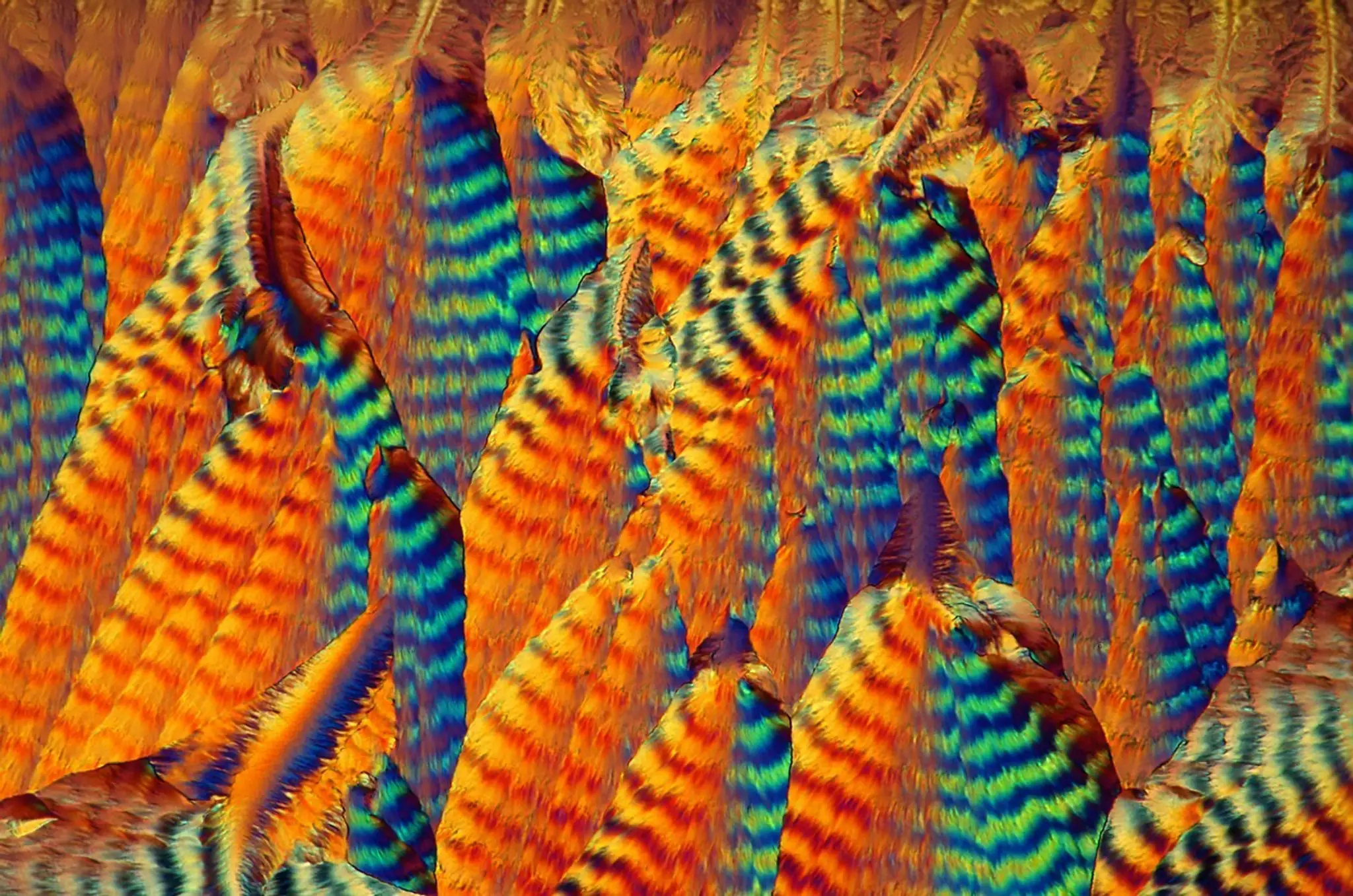 Vitamín C pod mikroskopom